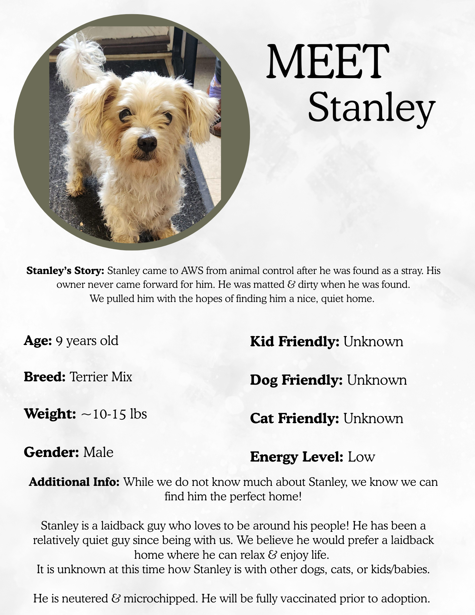 Stanley.png