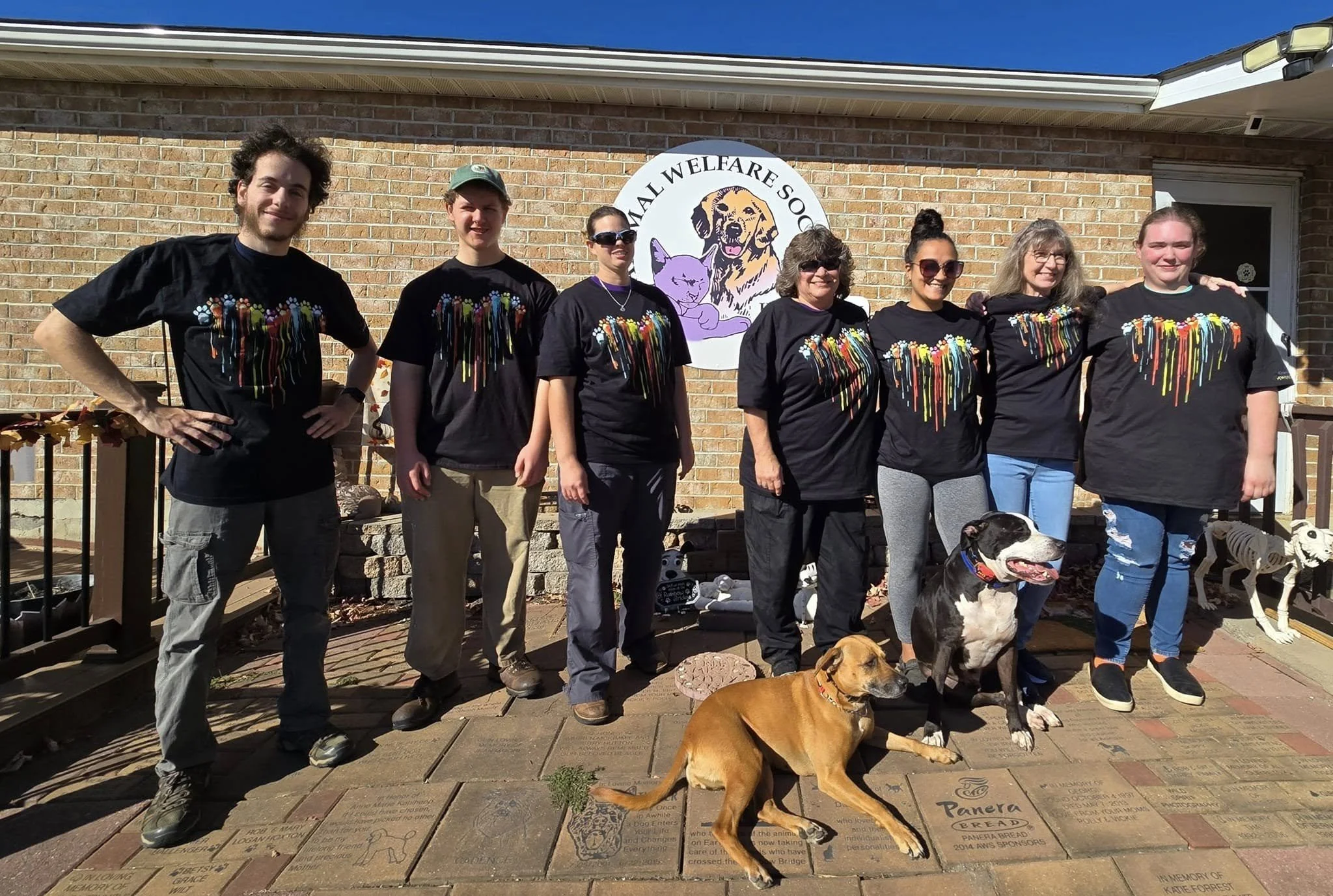 Group of seven people standing outside in front of a building at a dog welfare organization, with two dogs lying in front of them and a skeleton display to the right. The people are wearing matching black t-shirts with colorful paint drip designs.