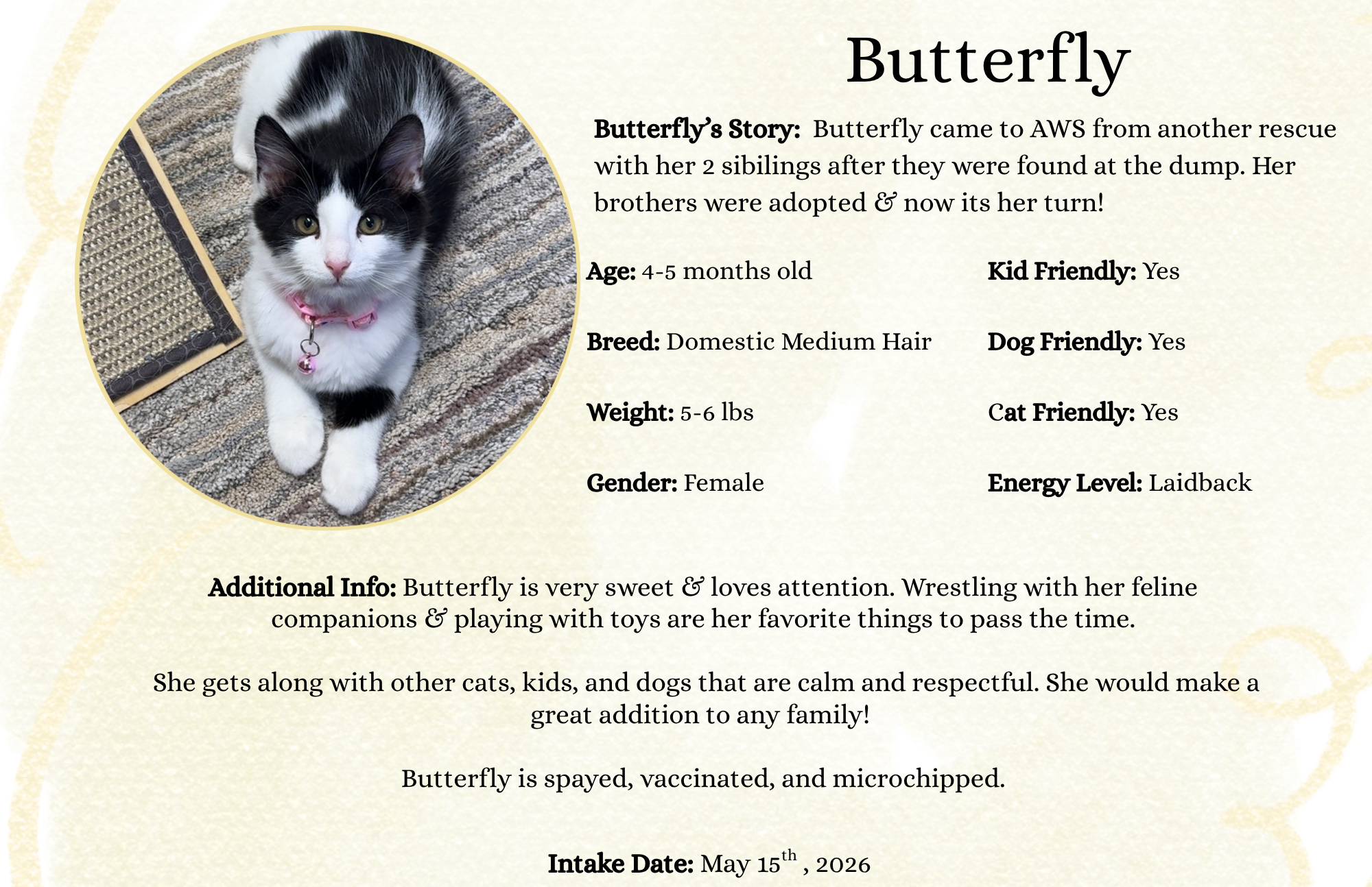 Butterfly.png