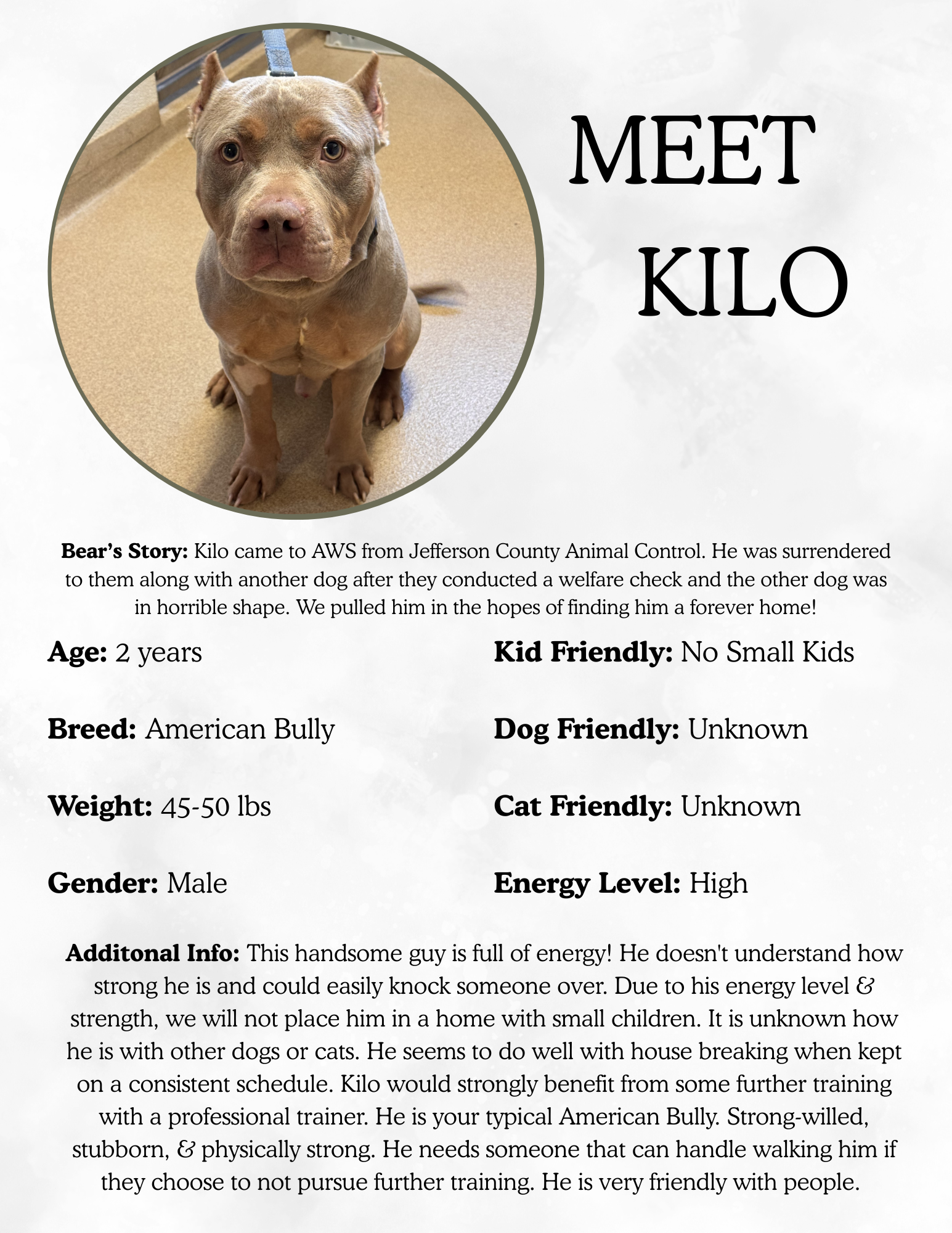 A brown dog sitting on a beige floor, looking at the camera, with text about Kilo's profile including his story, age, breed, weight, gender, and other characteristics.