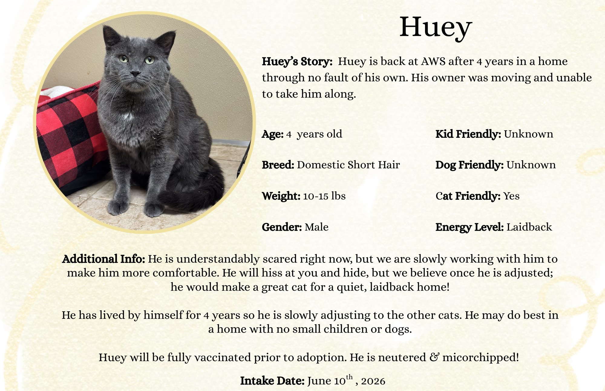Huey.png