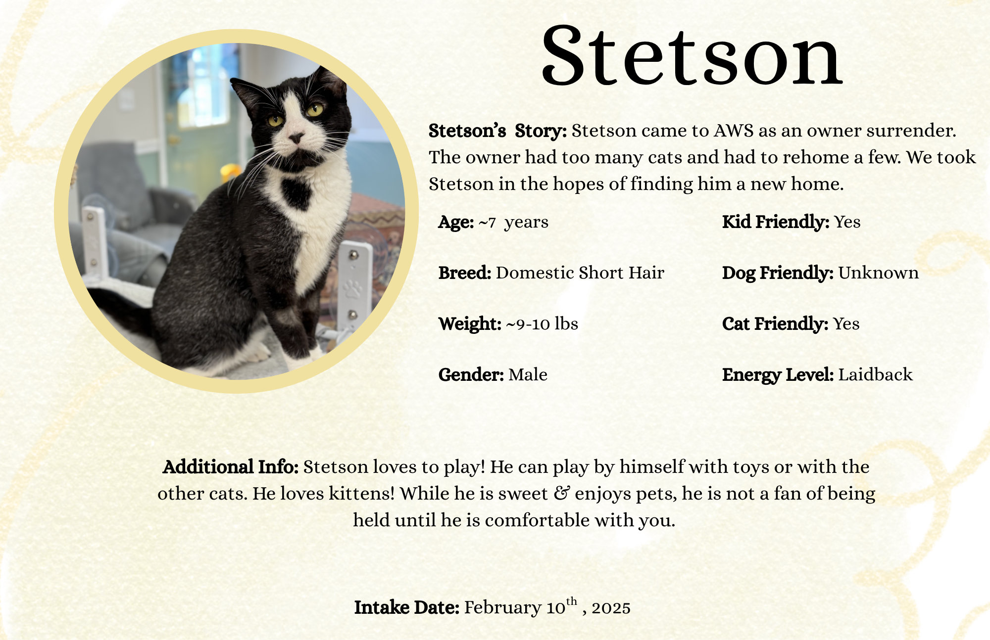 Stetson.png