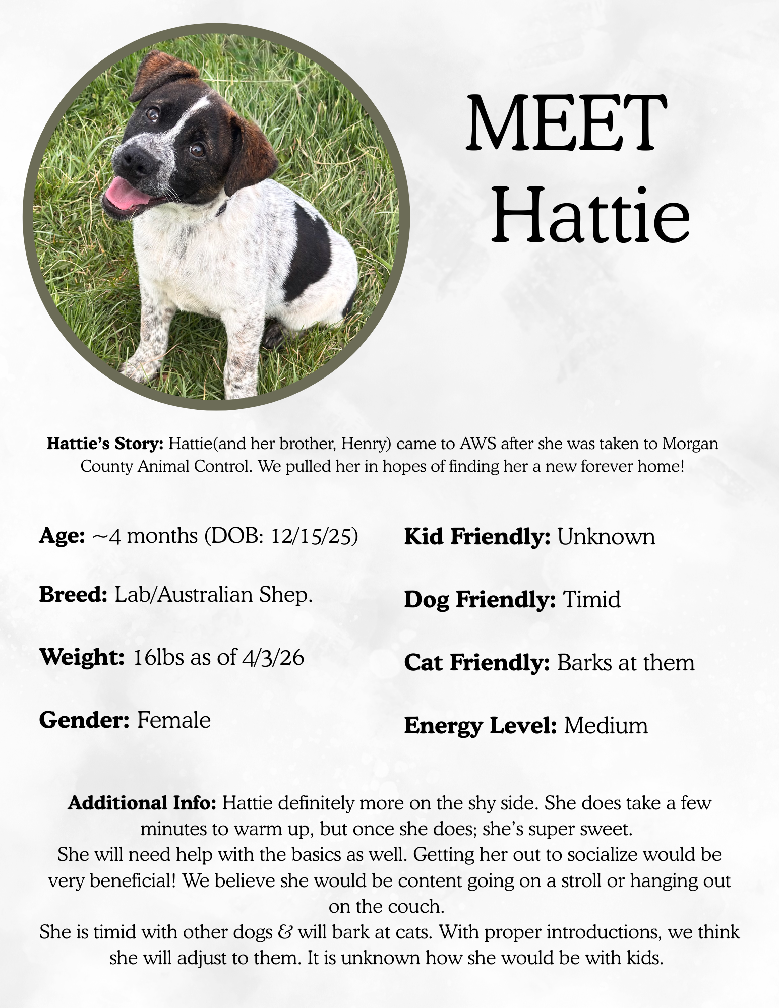 Hattie.png