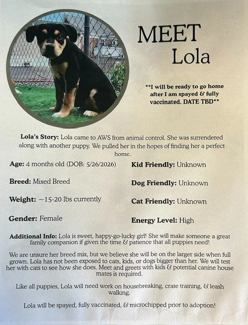 Lola.jpg