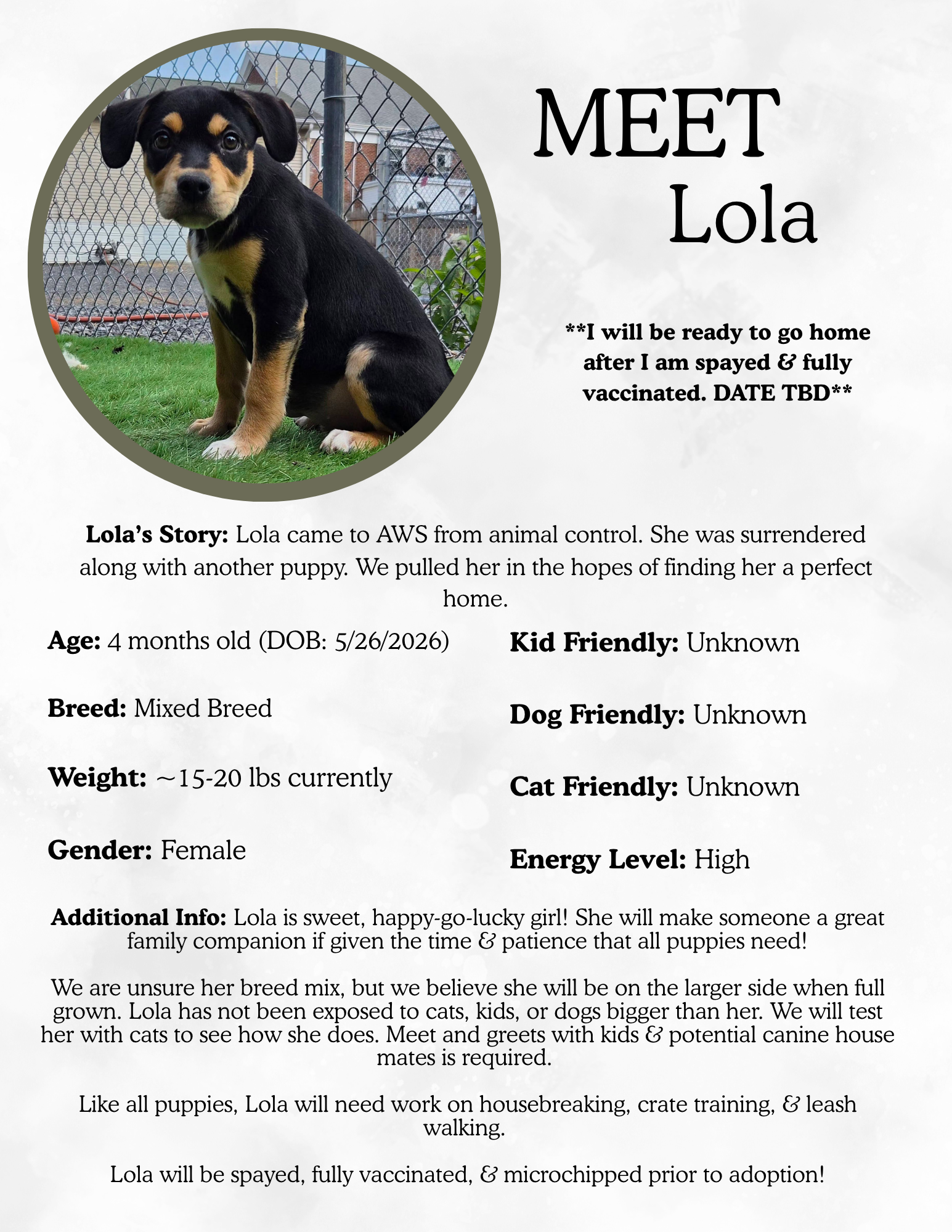Lola.png