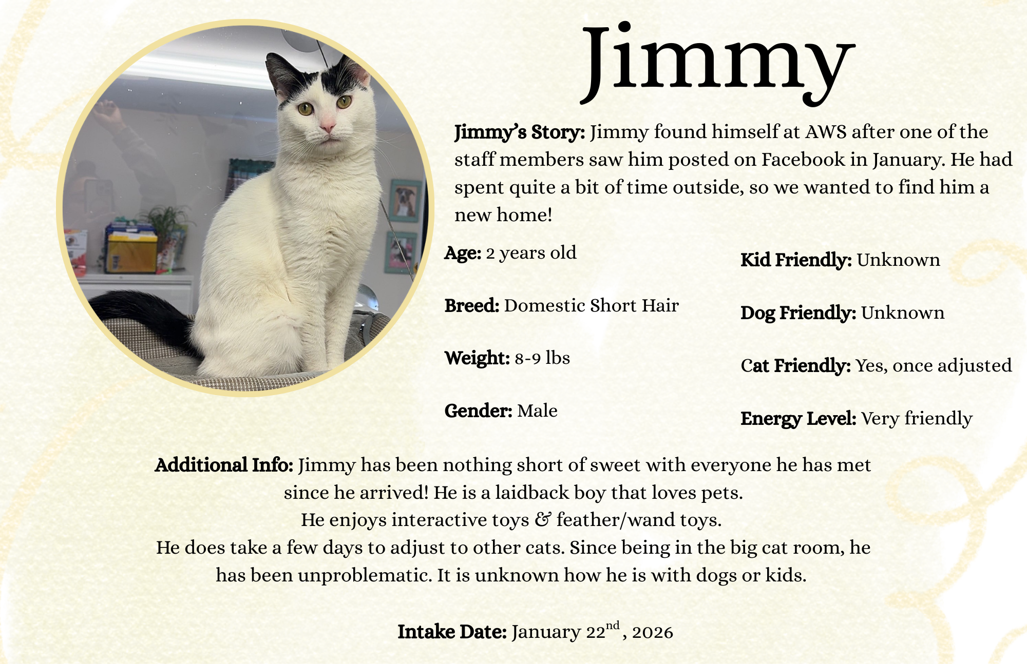 Jimmy 2 for Alyson.png