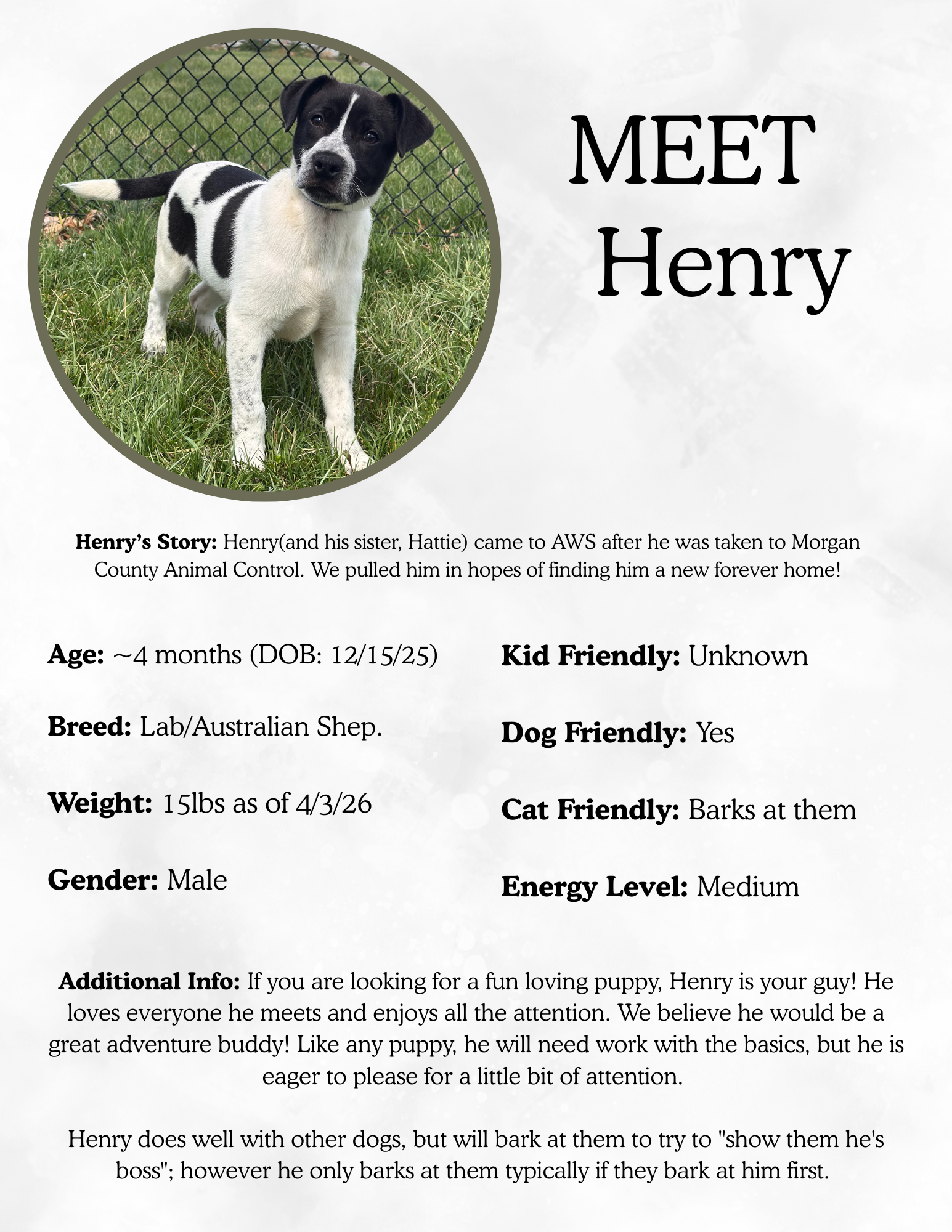 Henry.png