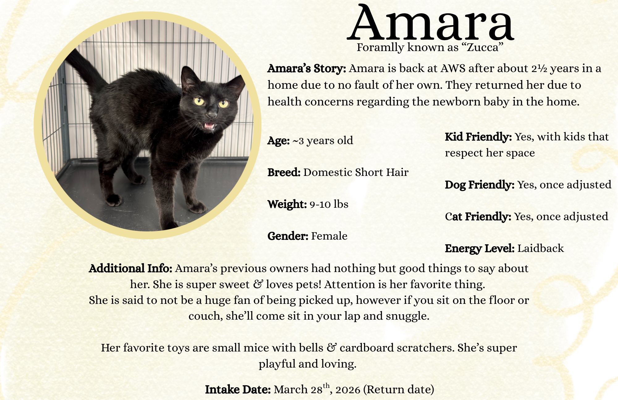 Amara.png