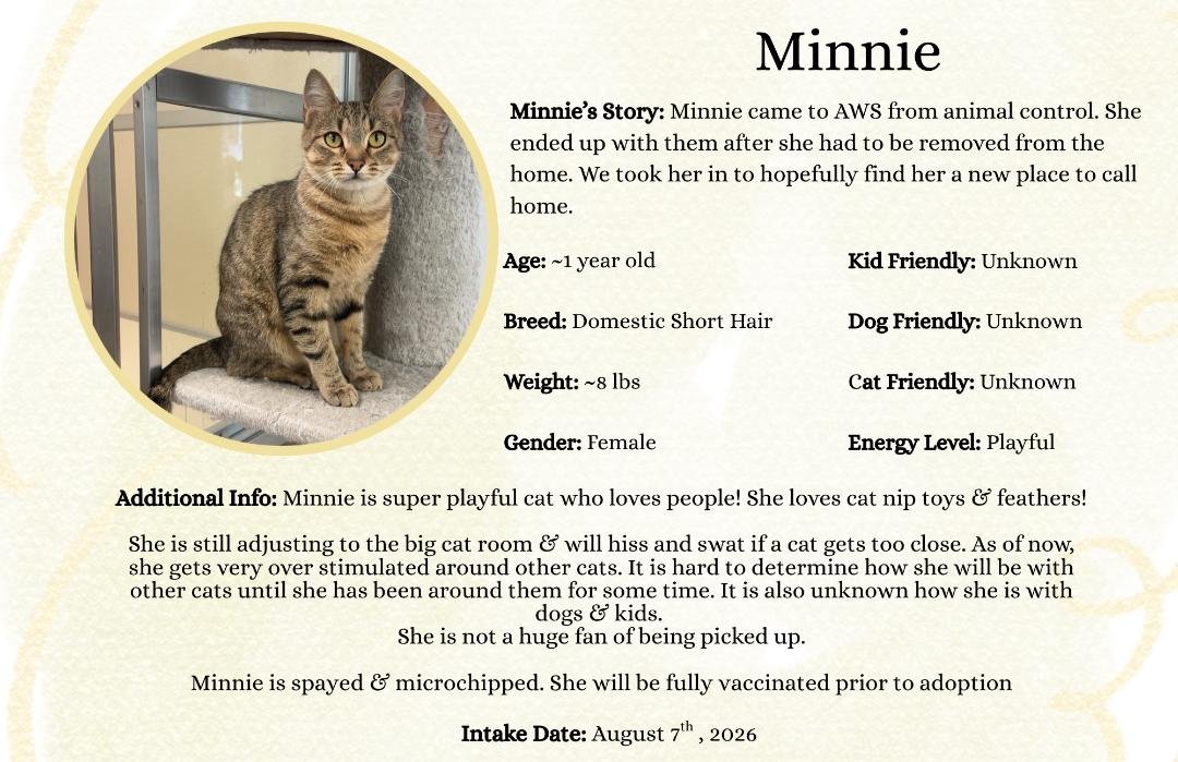 minnie.png