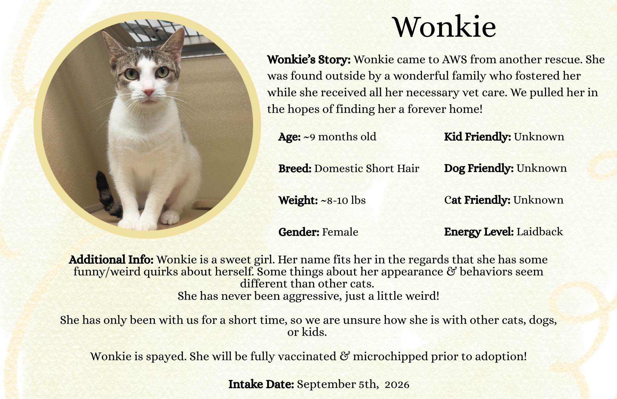 Wonkie .png