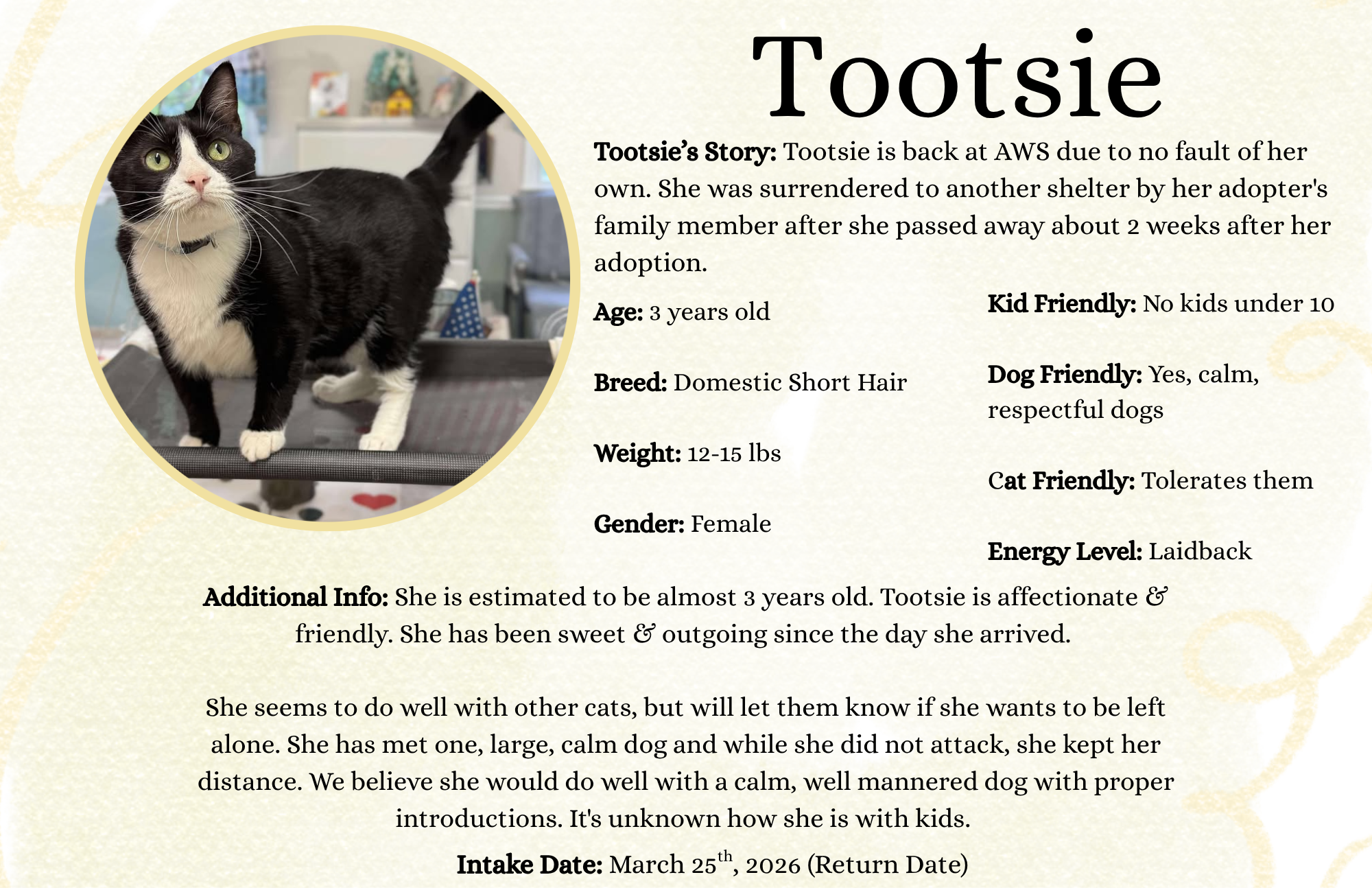 Tootsie.png