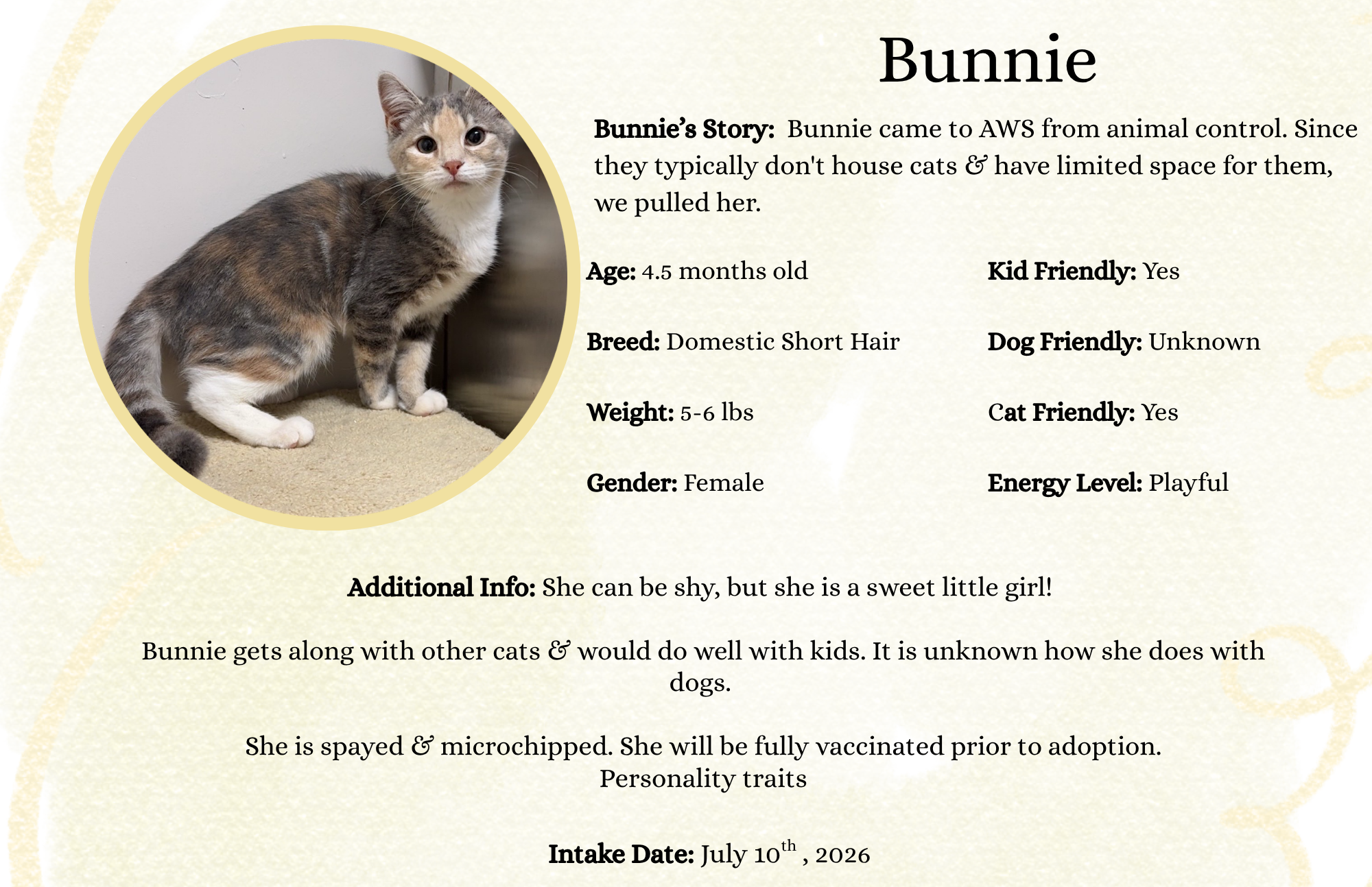 Bunnie.png