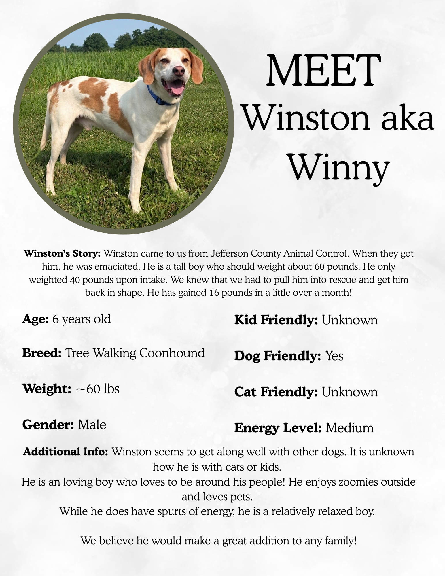 Winston.png