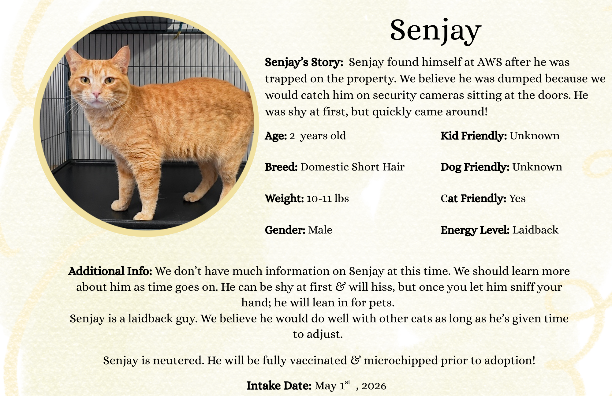 Senjay .png