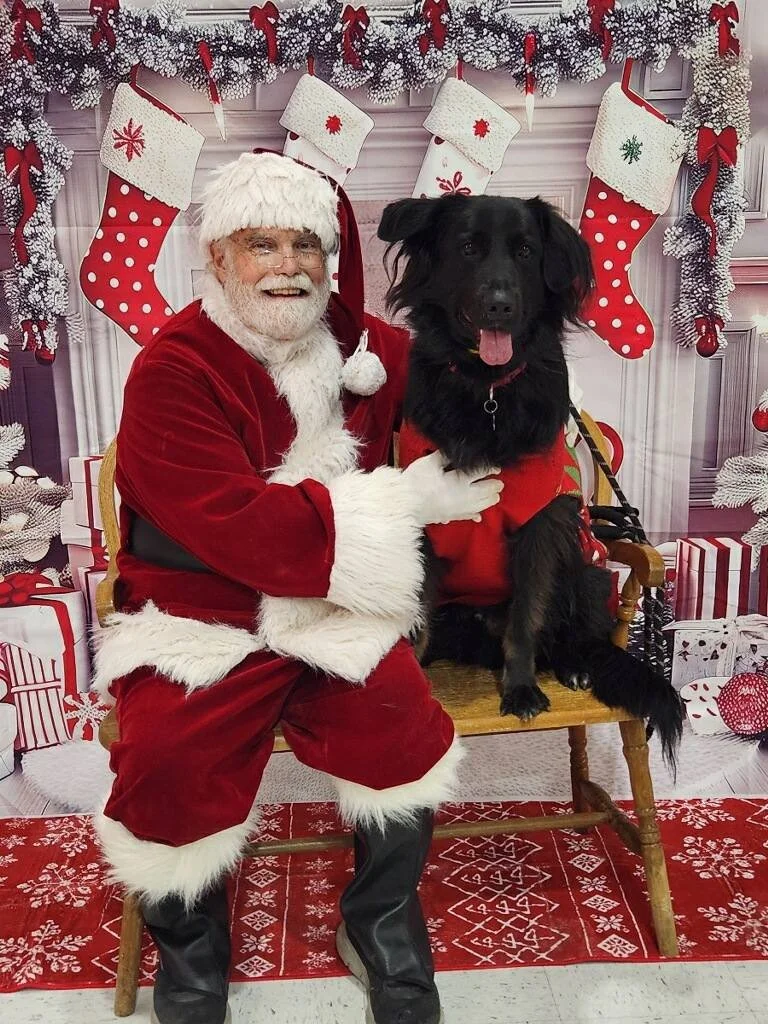 Santa Claus sitting on a wooden bench with a black dog in a red jacket, in front of a Christmas-themed backdrop with stockings, presents, and festive decorations.