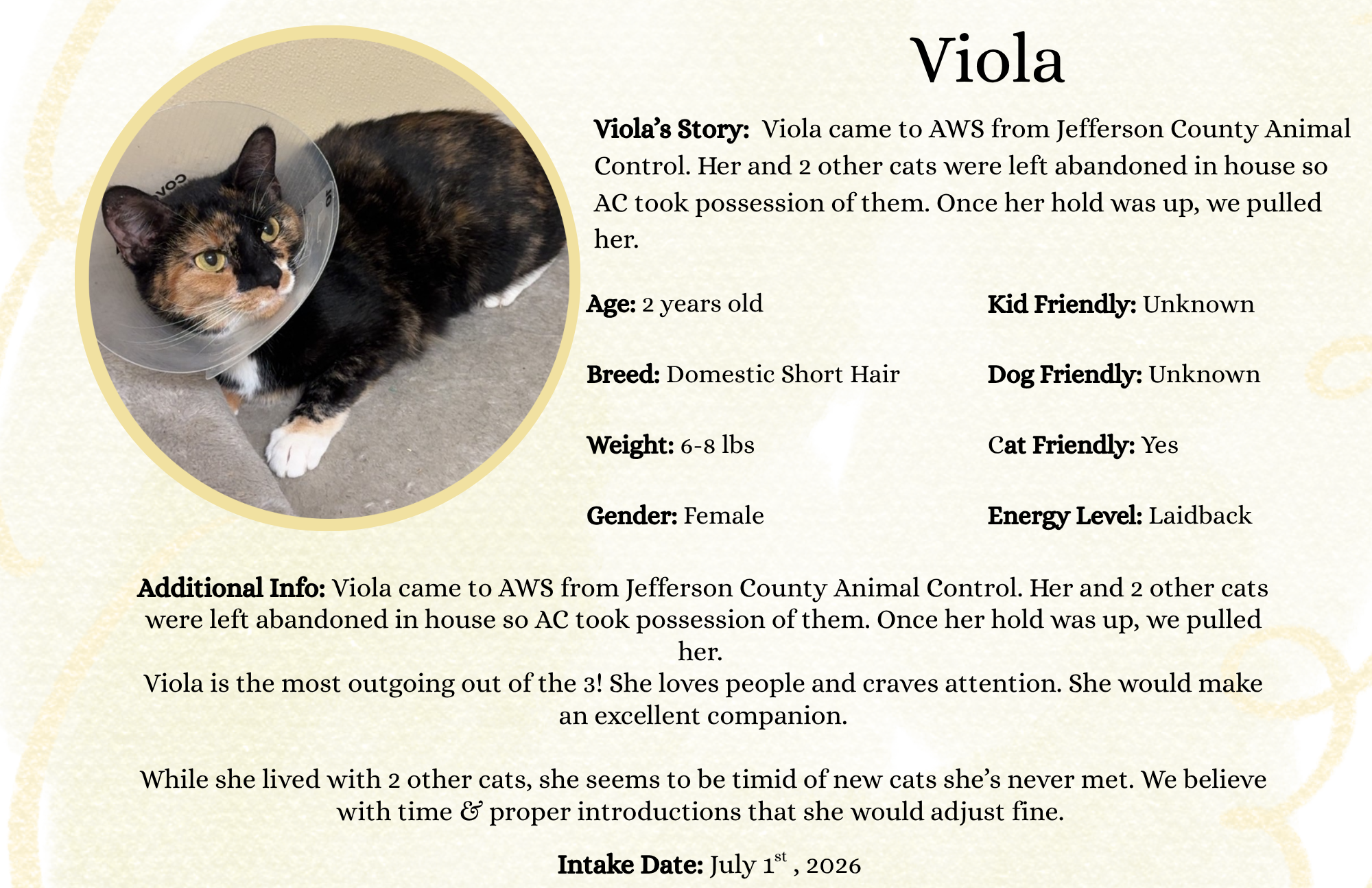 Viola.png