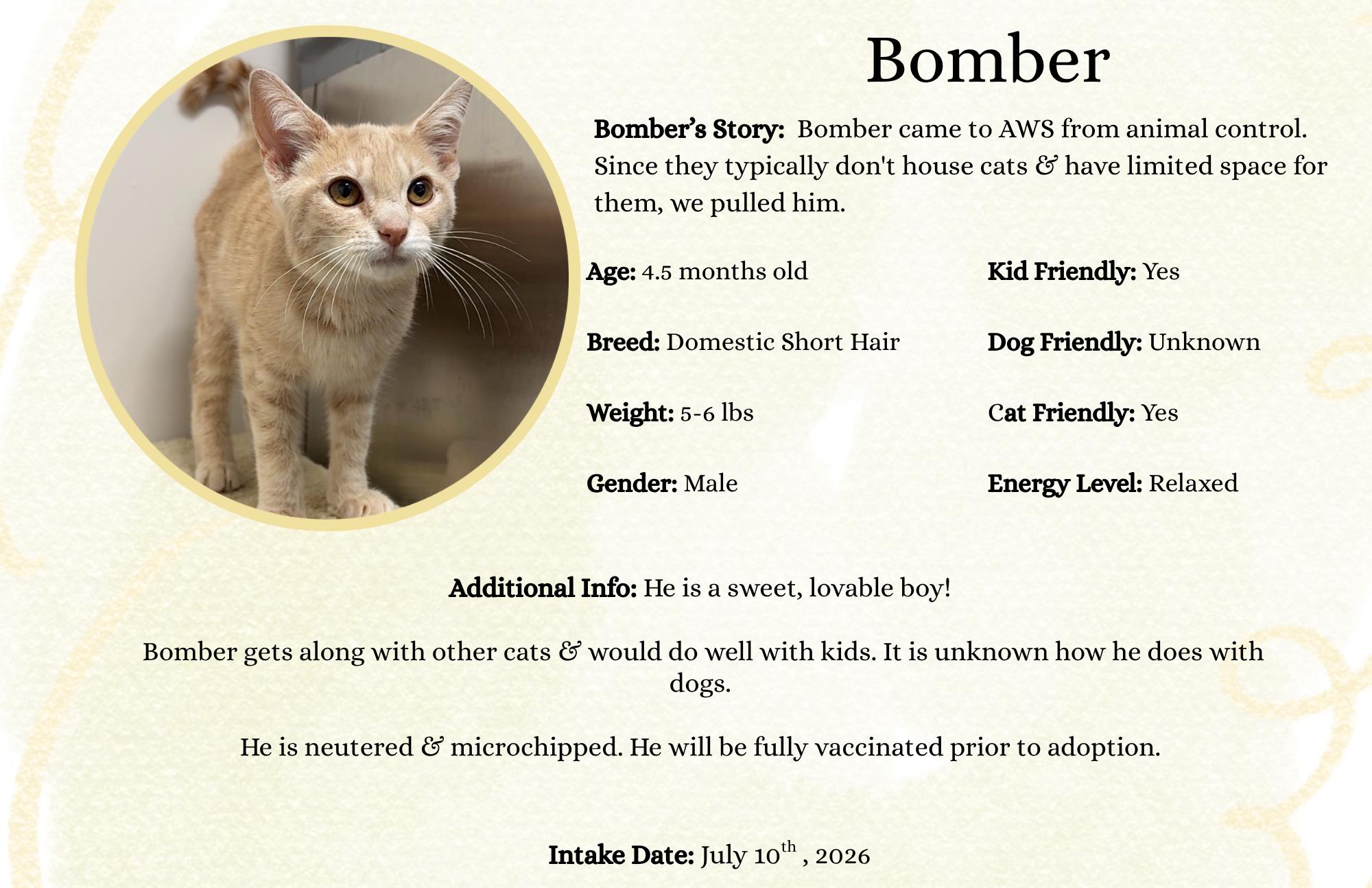 Bomber.png