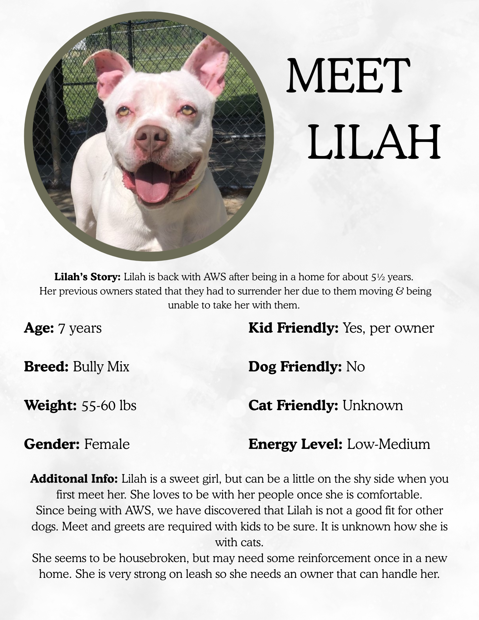 Dog named Lilah with white fur and pink ears, smiling outdoors behind a chain-link fence.