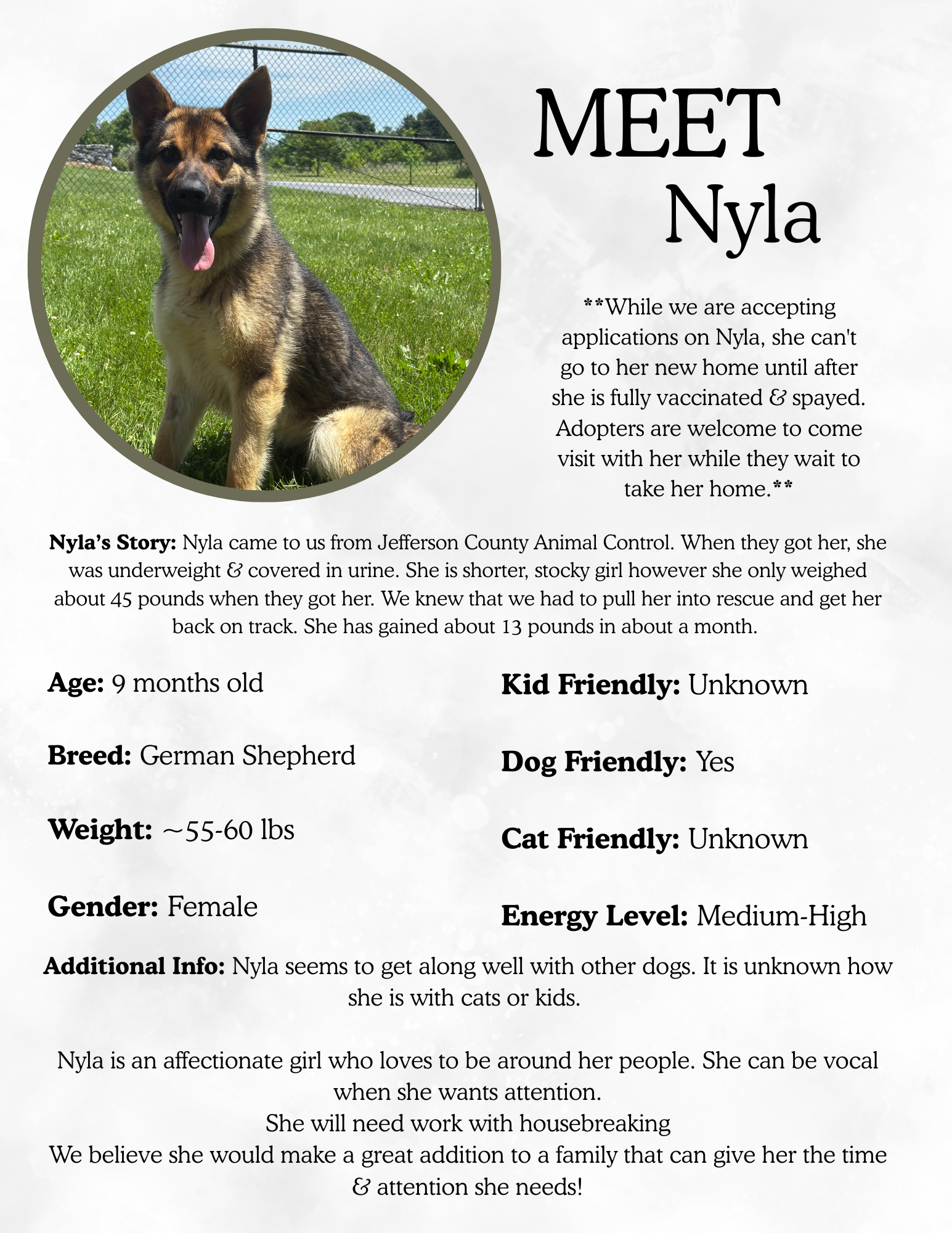 Nyla.png