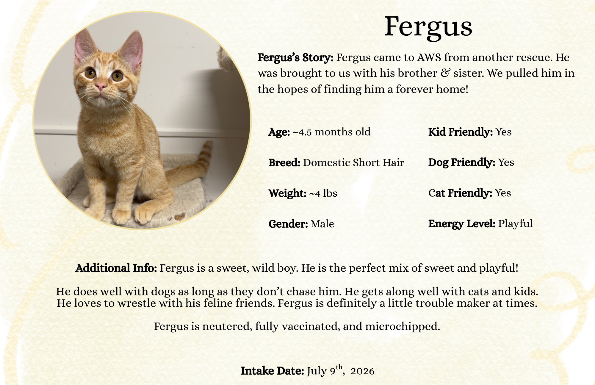 Fergus (3).png