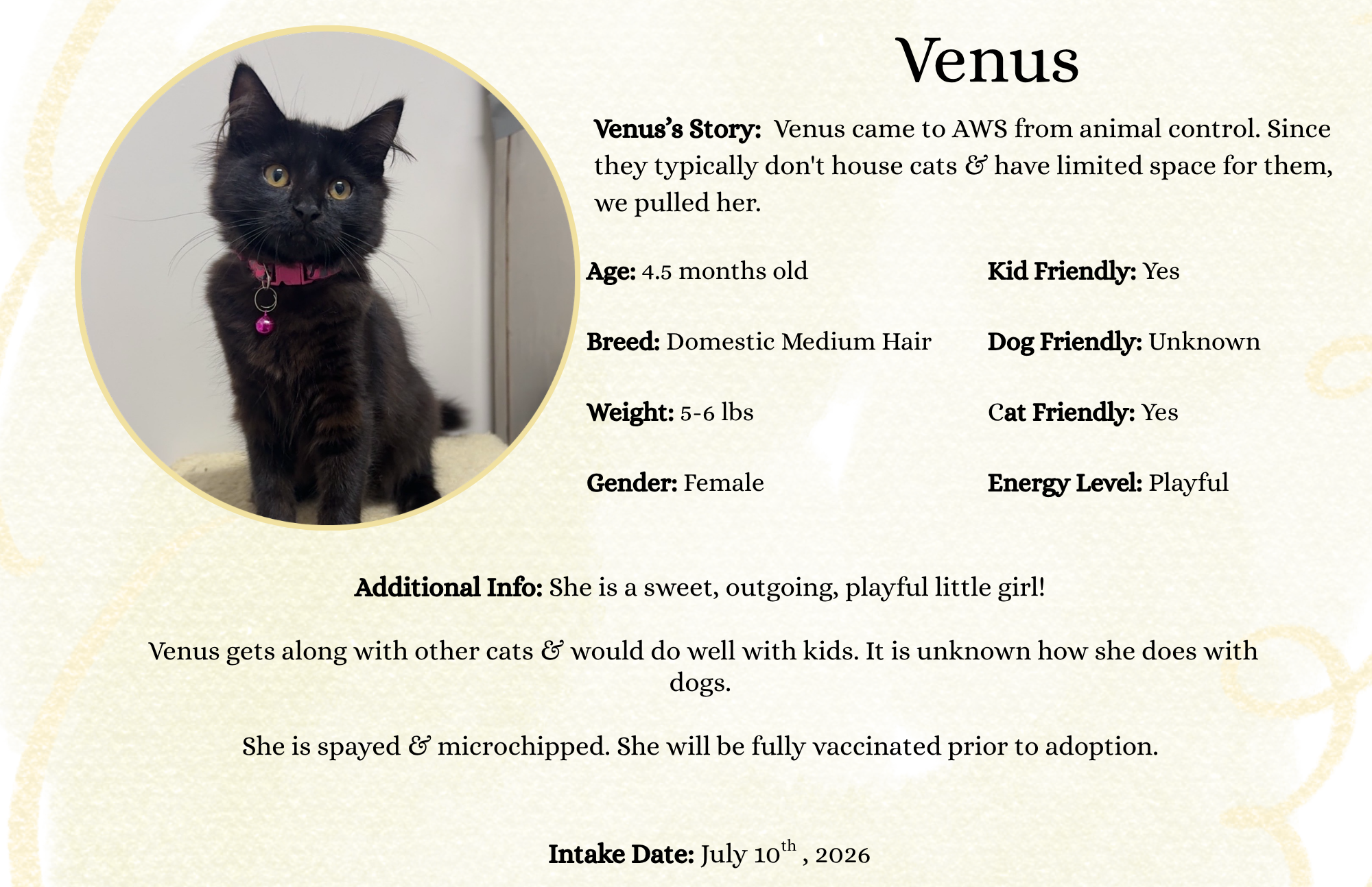 Venus.png