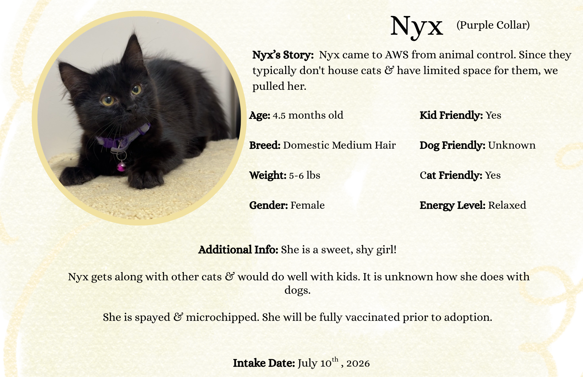 Nyx.png