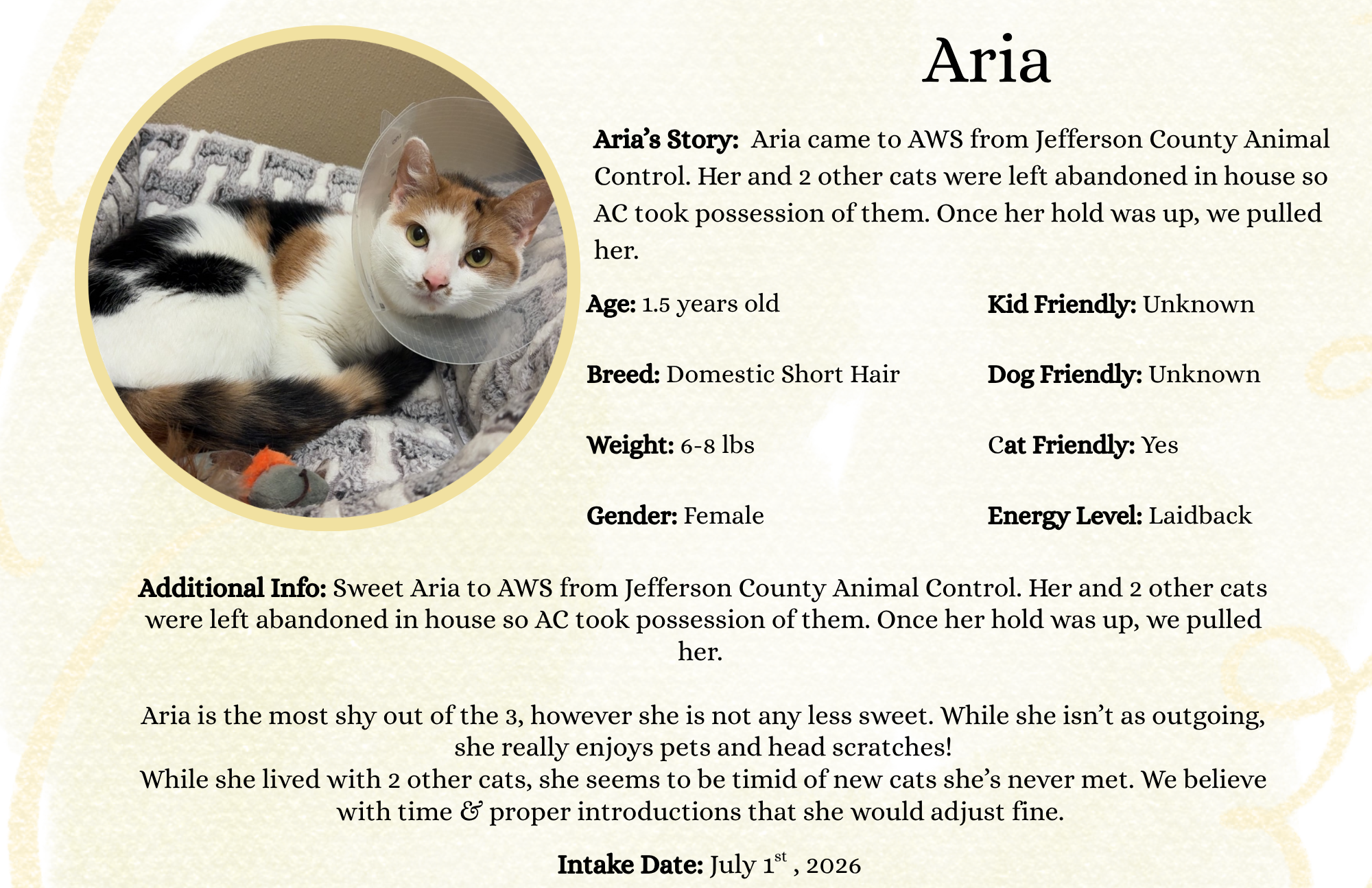 Aria.png