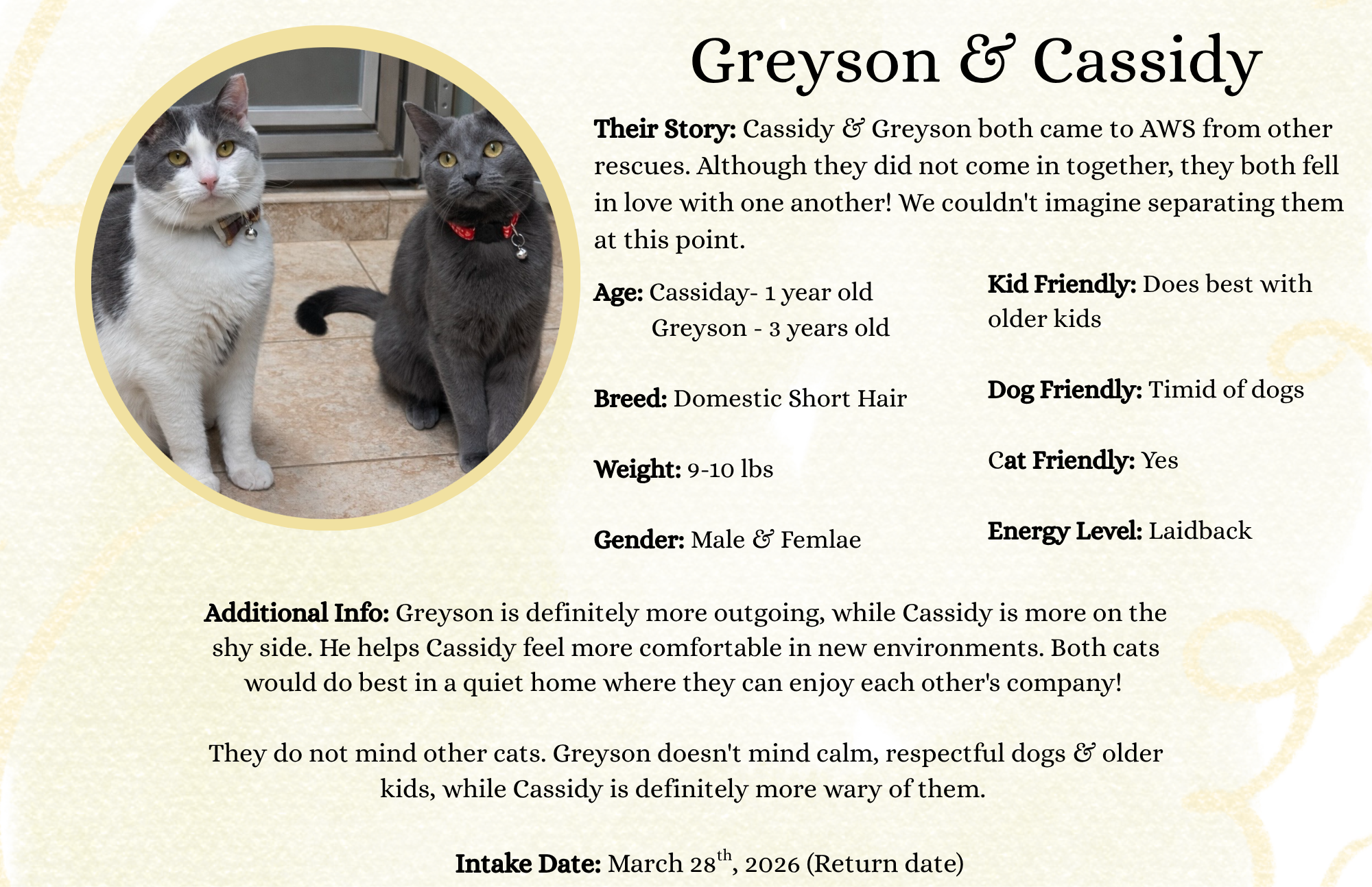 Greyson and Cassidy (2) (1).png