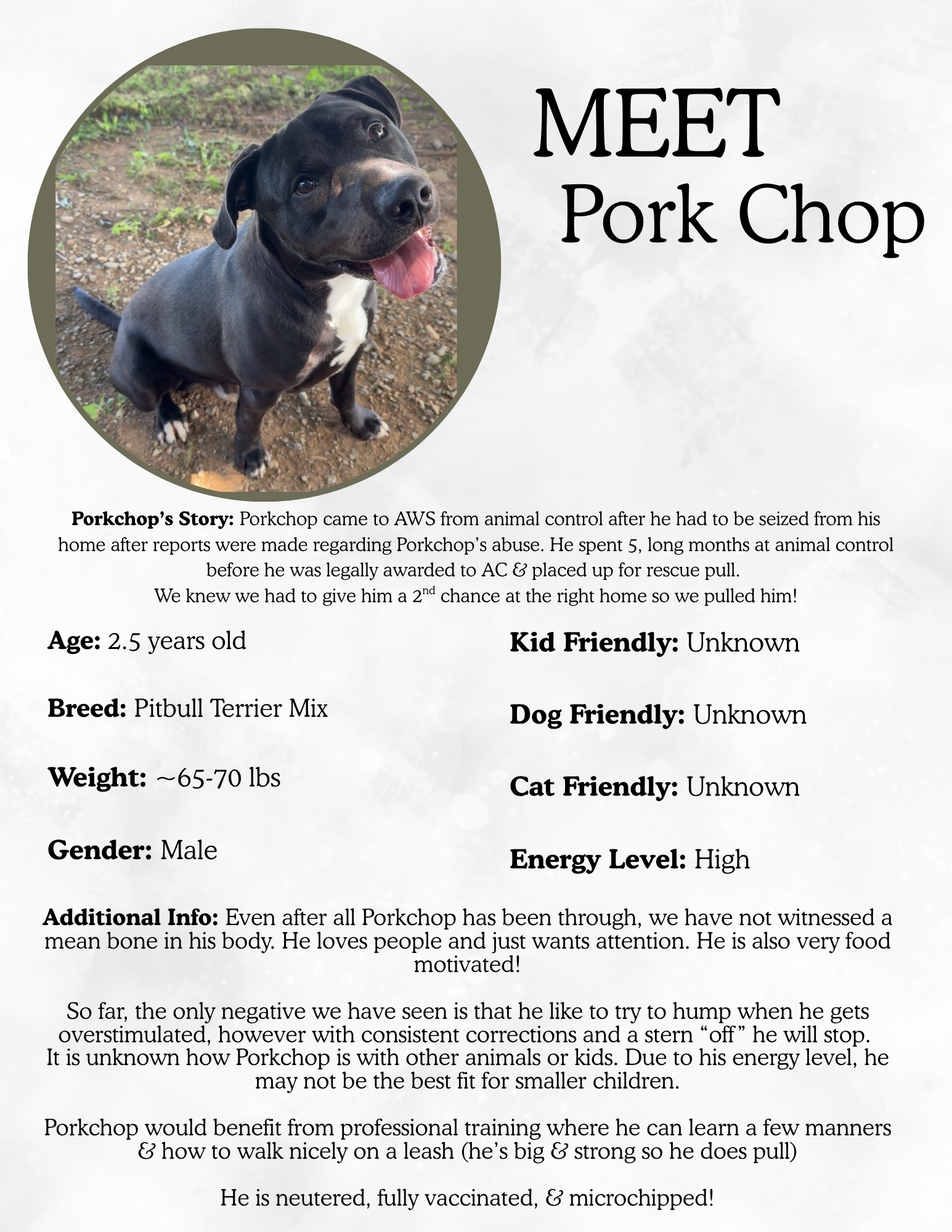 Pork Chop.png