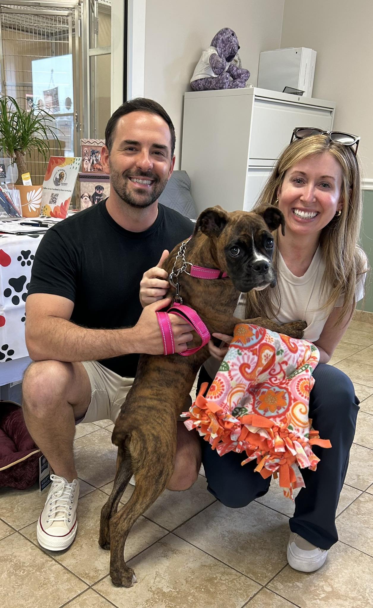 A smiling man and woman kneeling beside a brindle French Bulldog puppy with a pink collar and leash in an indoor setting. The woman holds a colorful blanket with orange, pink, and white patterns. There are decorations and a stuffed animal on a shelf in the background.