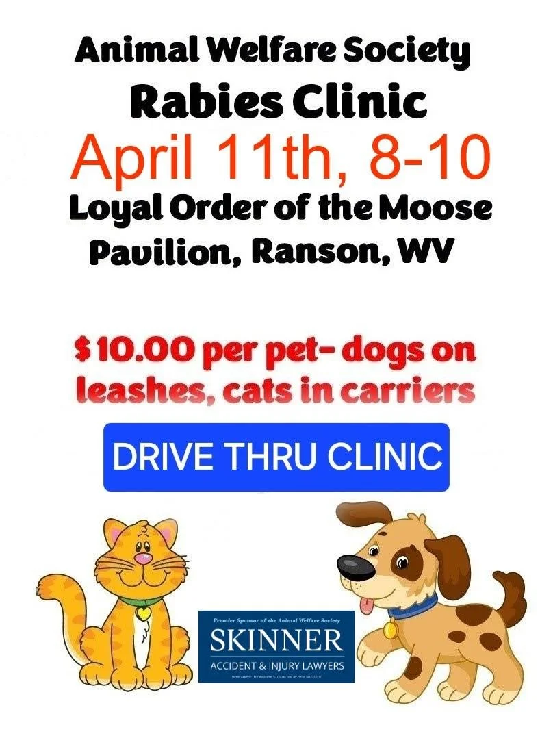 Rabies Clinic
