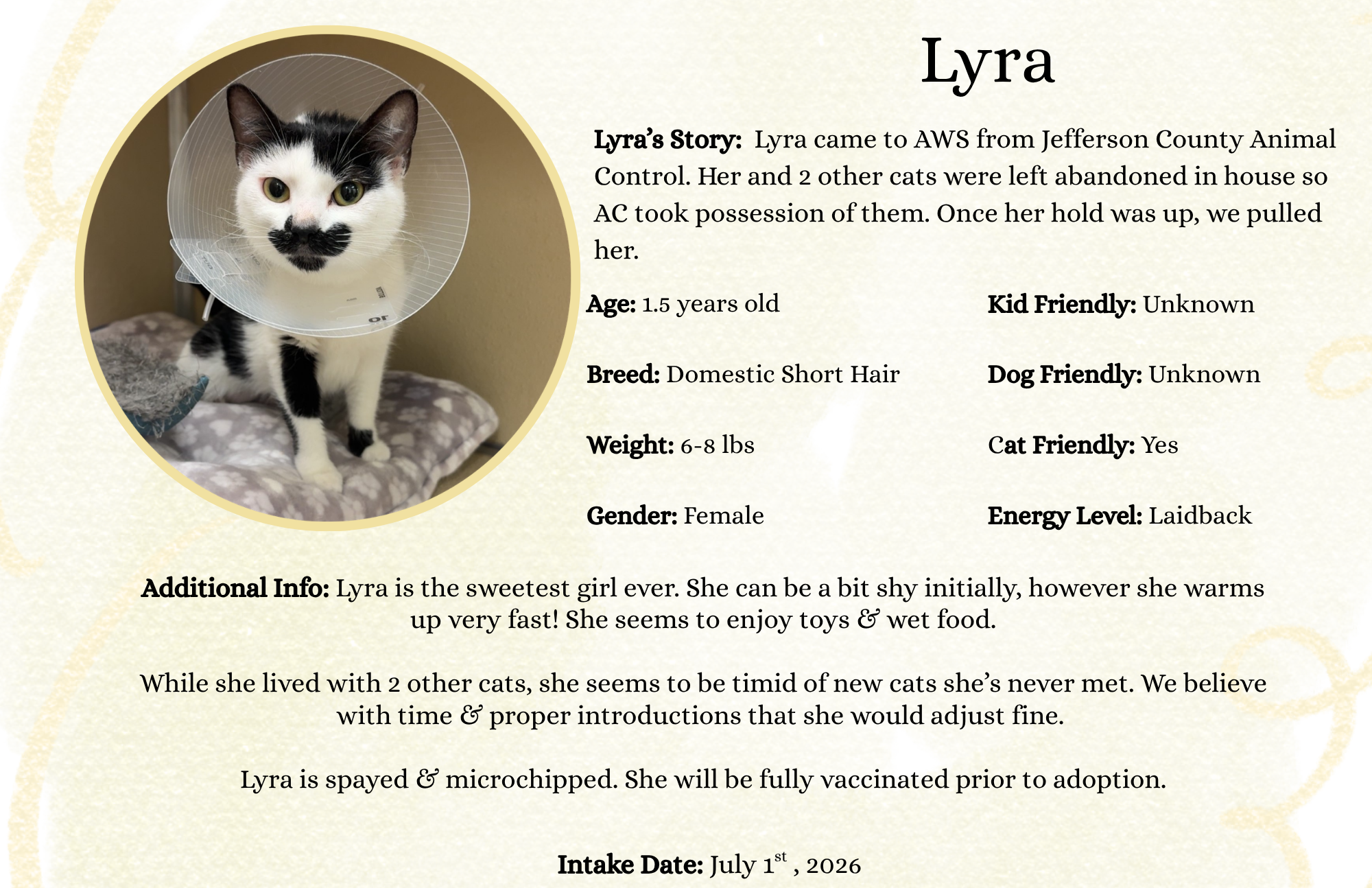 Lyra.png
