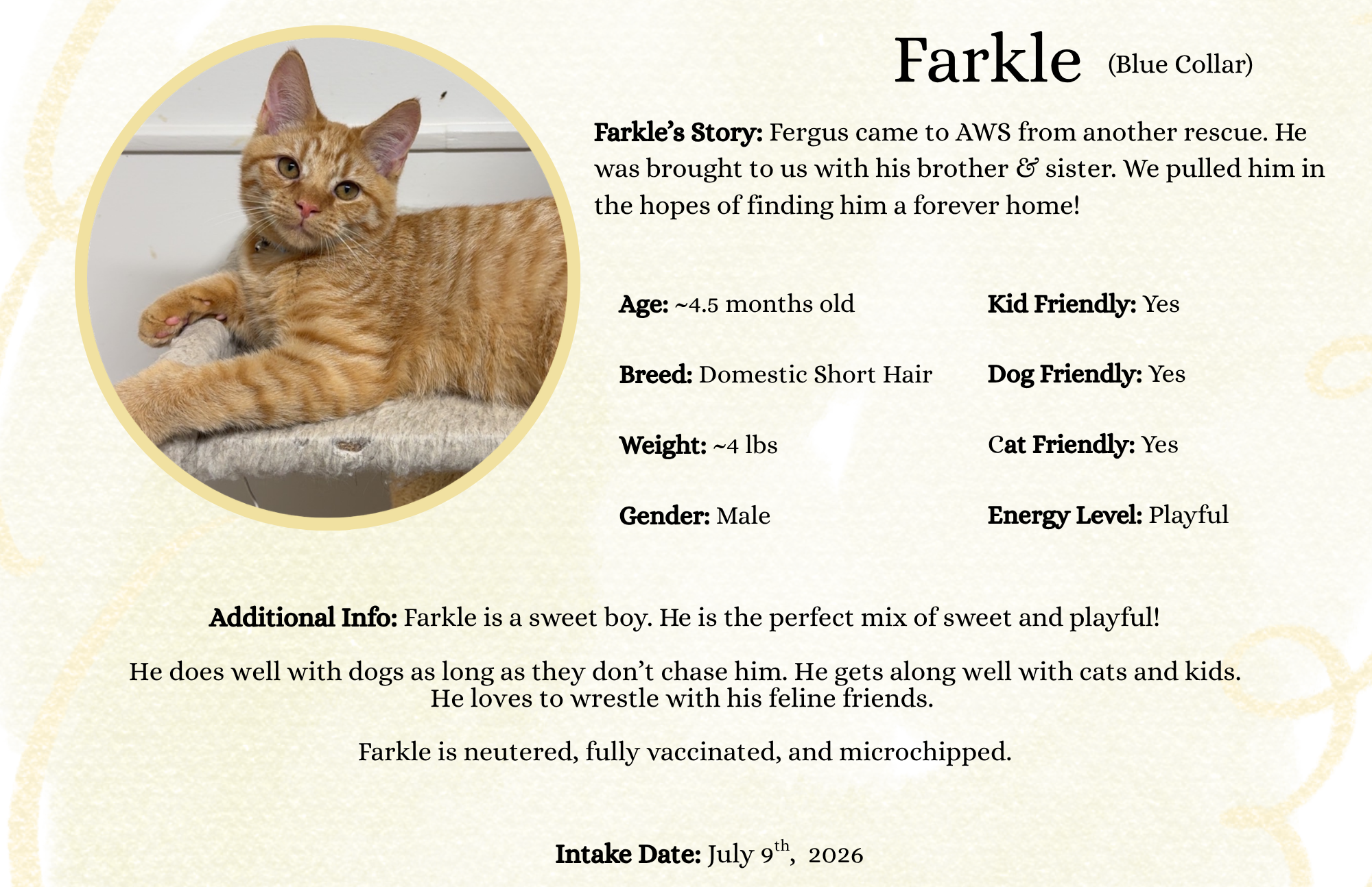 Farkle (2).png