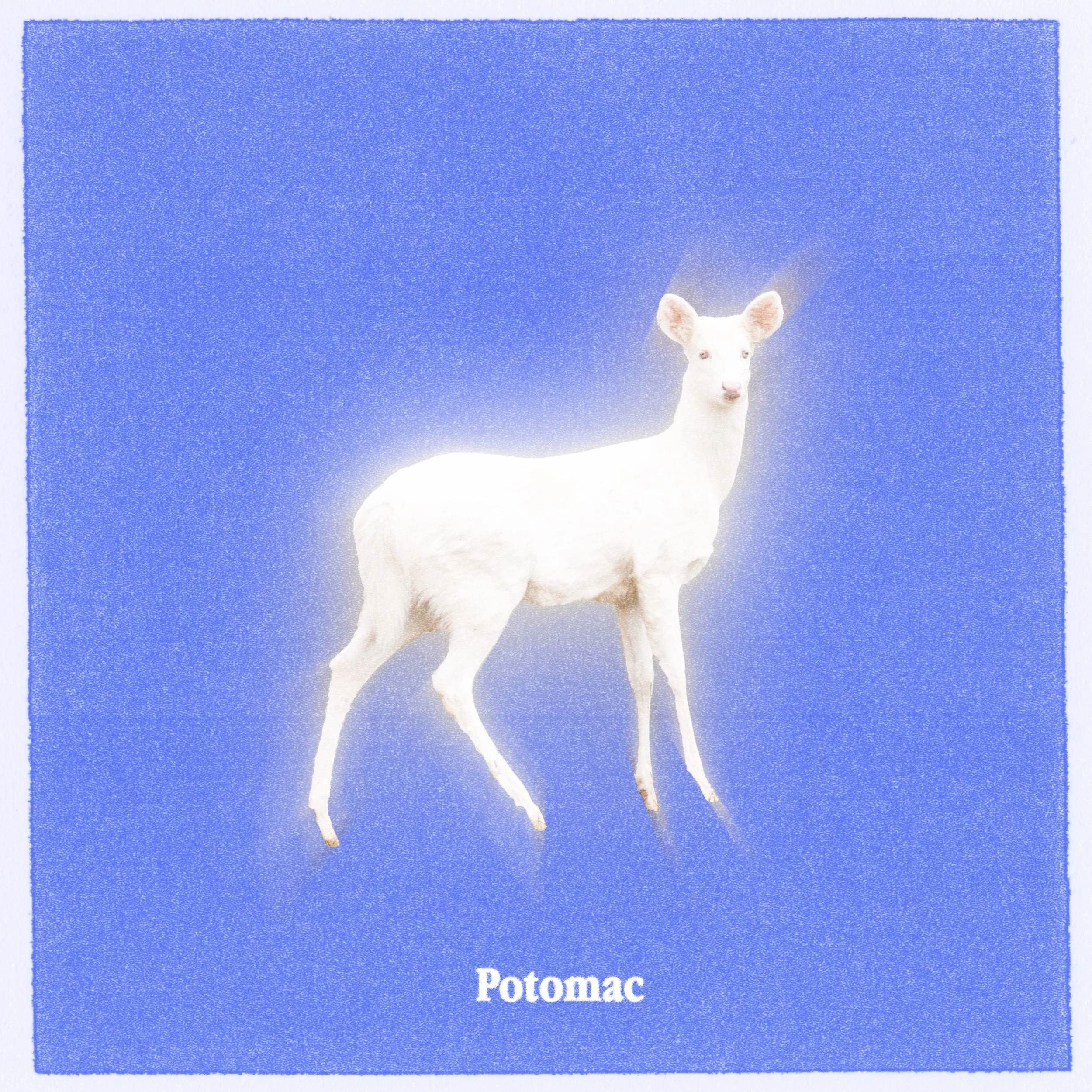 potomac1.jpg