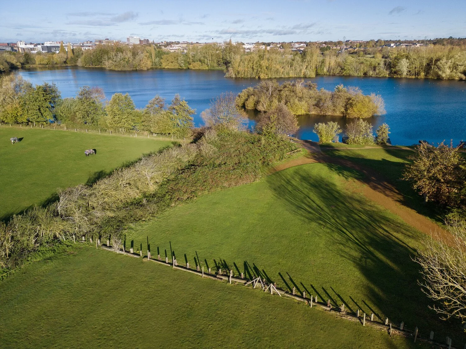 Aerial view of a park with green grass, trees, a lake, and a city skyline in the background.