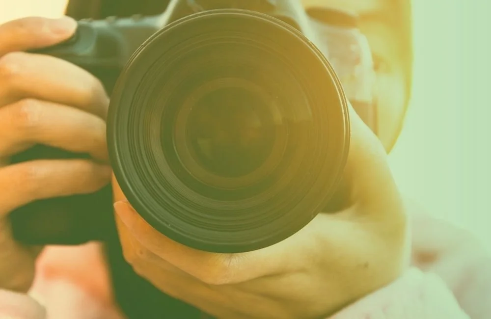 photographie des ressources humaines RH