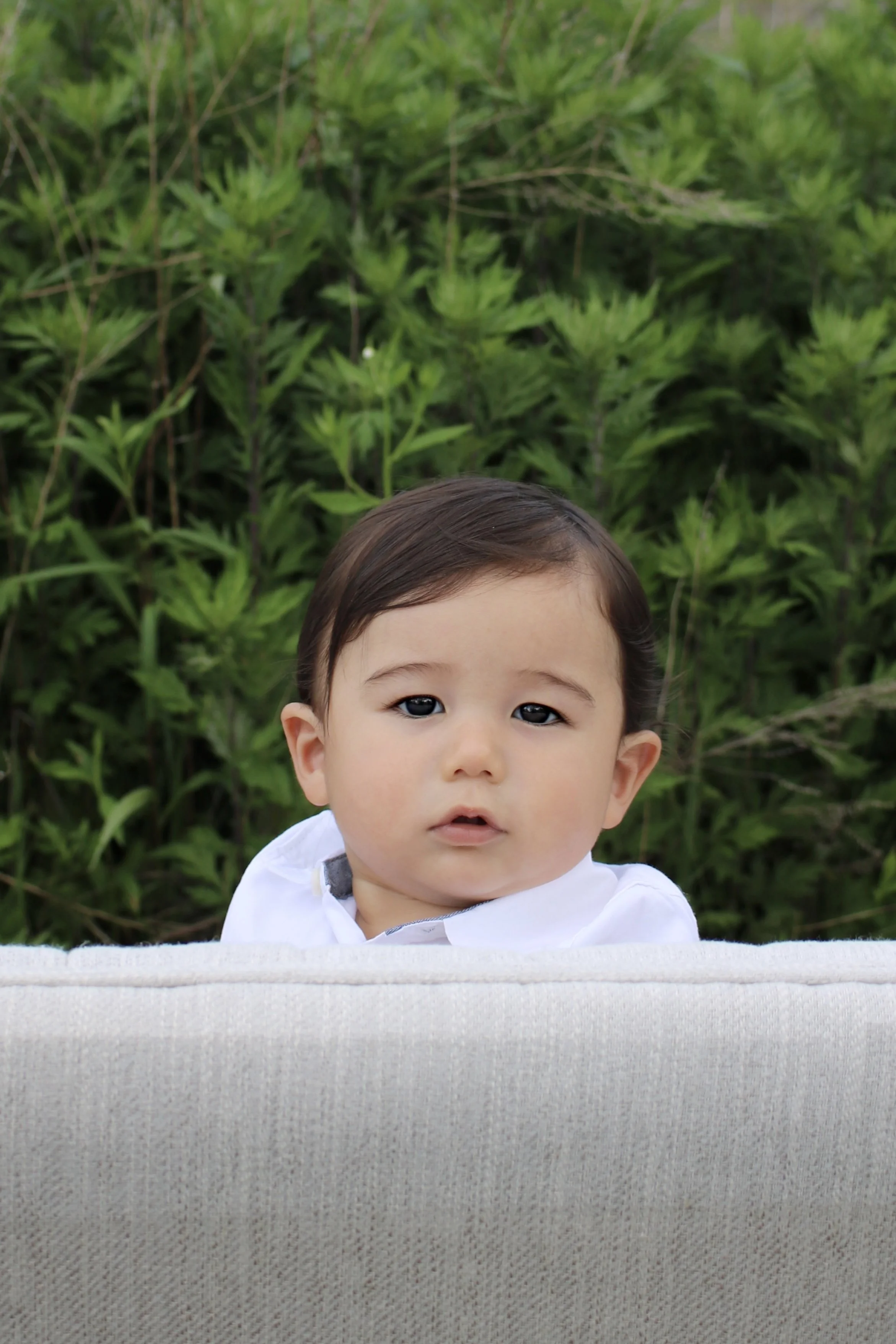 Young child with dark hair and wearing a white shirt standing outdoors behind a light-colored cushion with green foliage in the background.