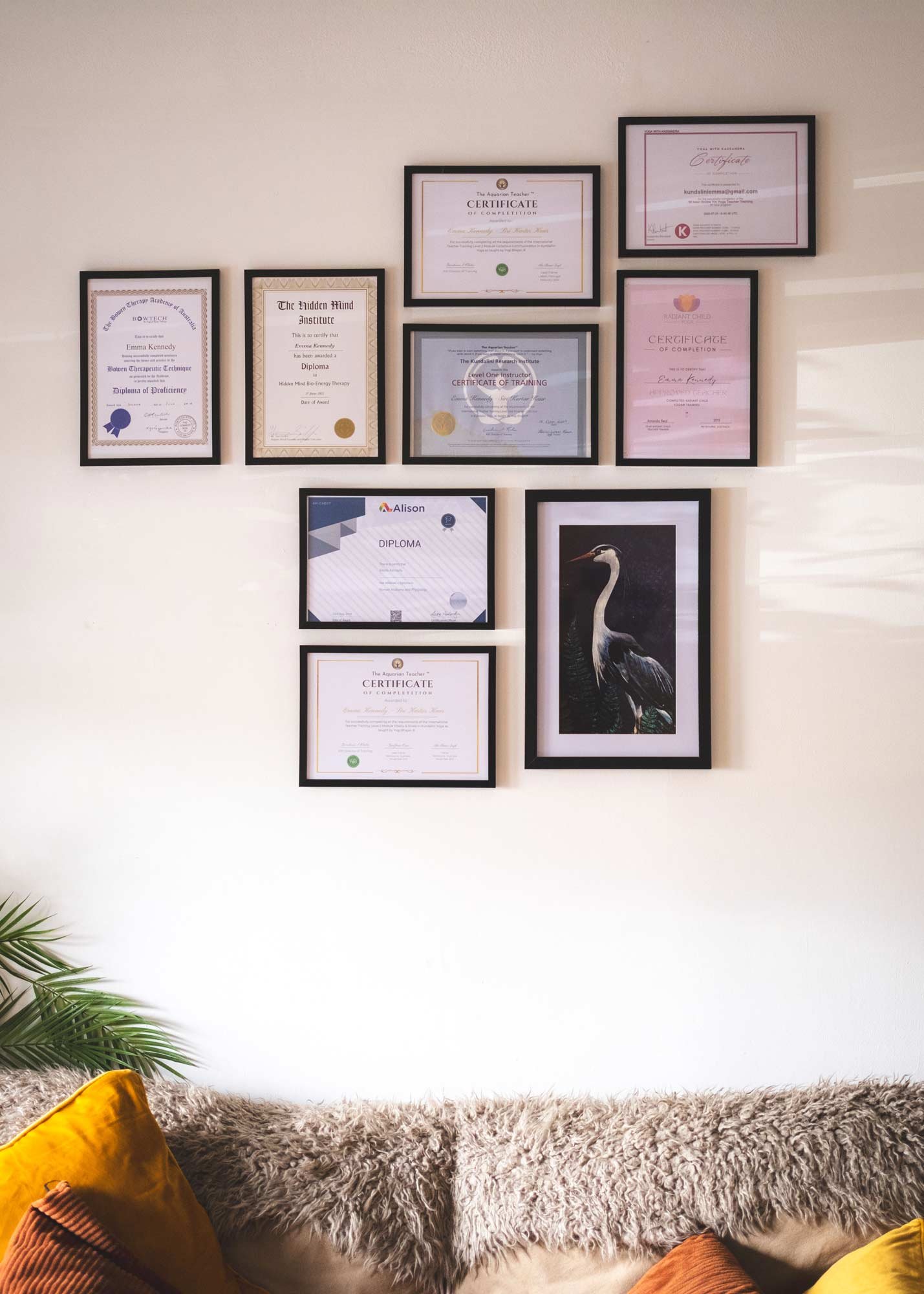 Wall decorated with multiple framed certificates and a picture of a heron, with a sofa and cushions at the bottom of the image.