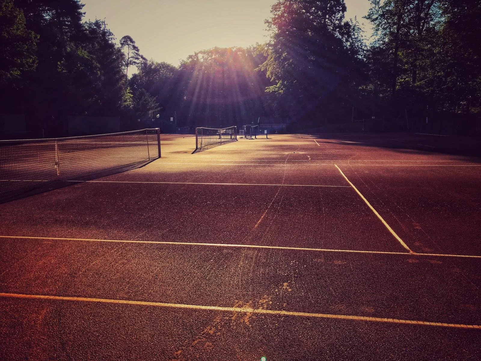 Leerer Tennisplatz bei Sonnenuntergang mit langgestrecktem Schatten und grünem Hintergrund aus Bäumen, Sonnenstrahlen scheinen durch die Bäume.