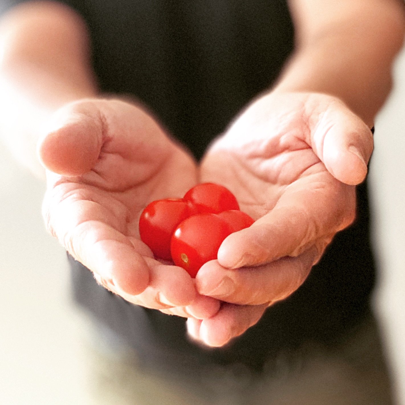 Tactile Touch