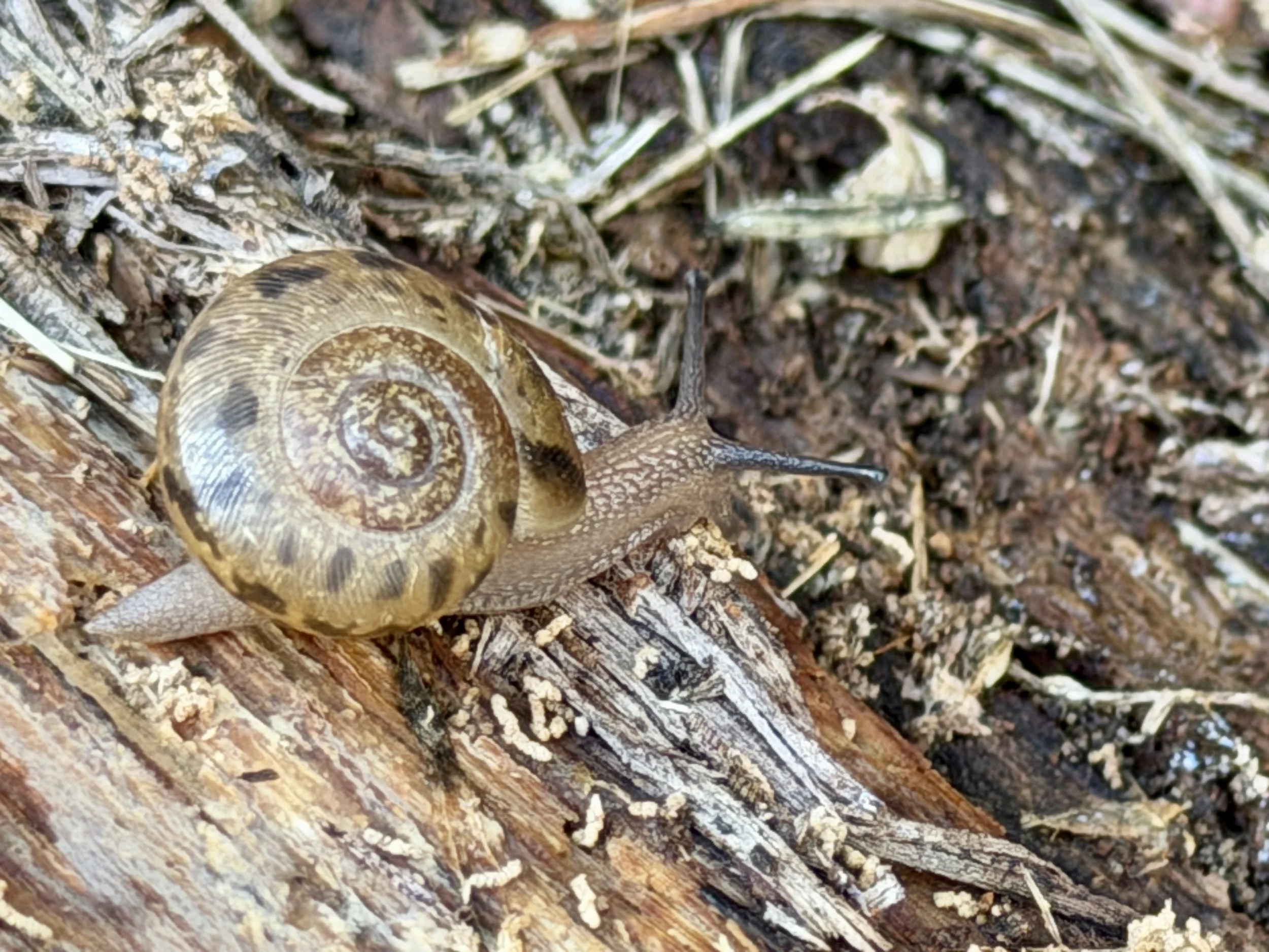 The Value of Unstructured Time