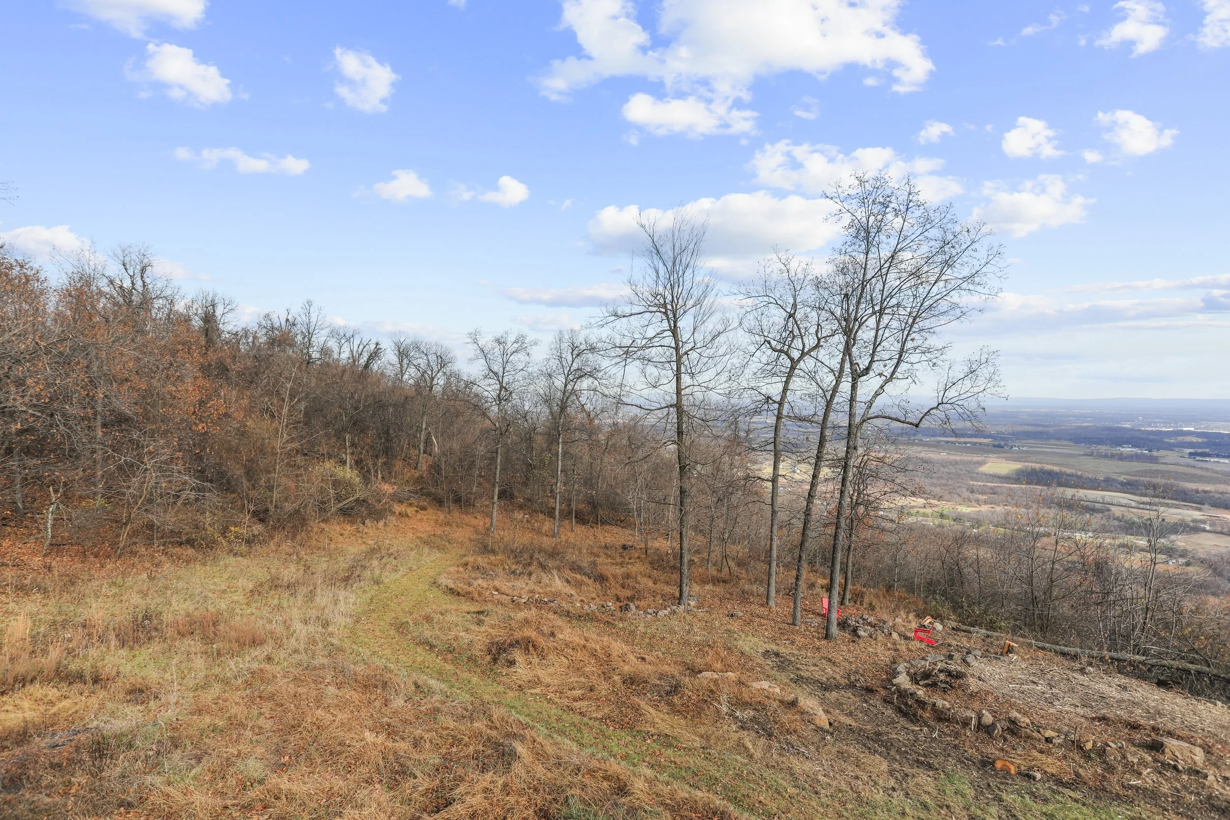 A dirt trail runs through a wooded hillside with leafless trees, overlooking a scenic valley and distant horizon under a partly cloudy sky.