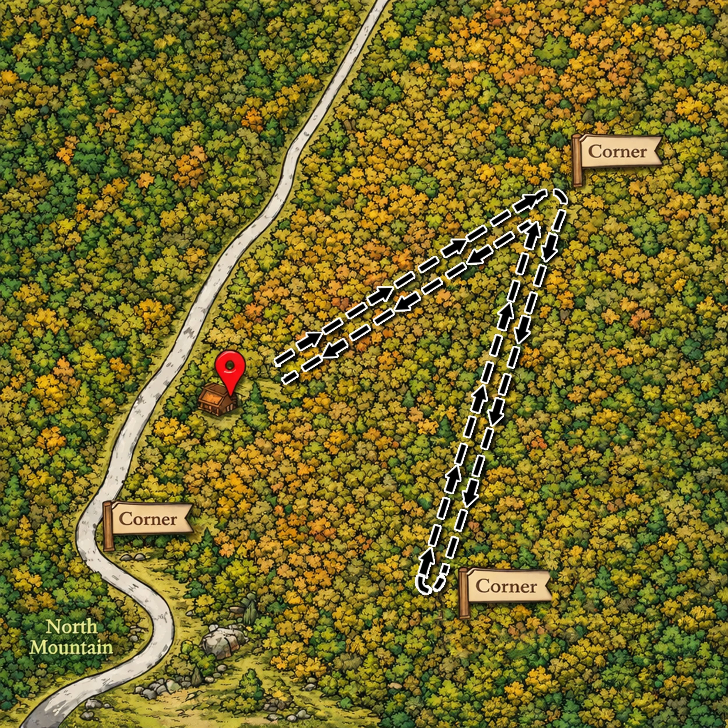 Map of a forested area with a winding road on the left, showing three labeled corners and a house with a red marker. Dashed arrows indicate a suggested hiking route through the trees, starting near the house, going past the lower left corner, then to