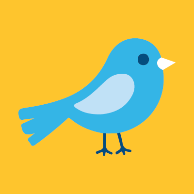 Early Bird Festival Team Submission