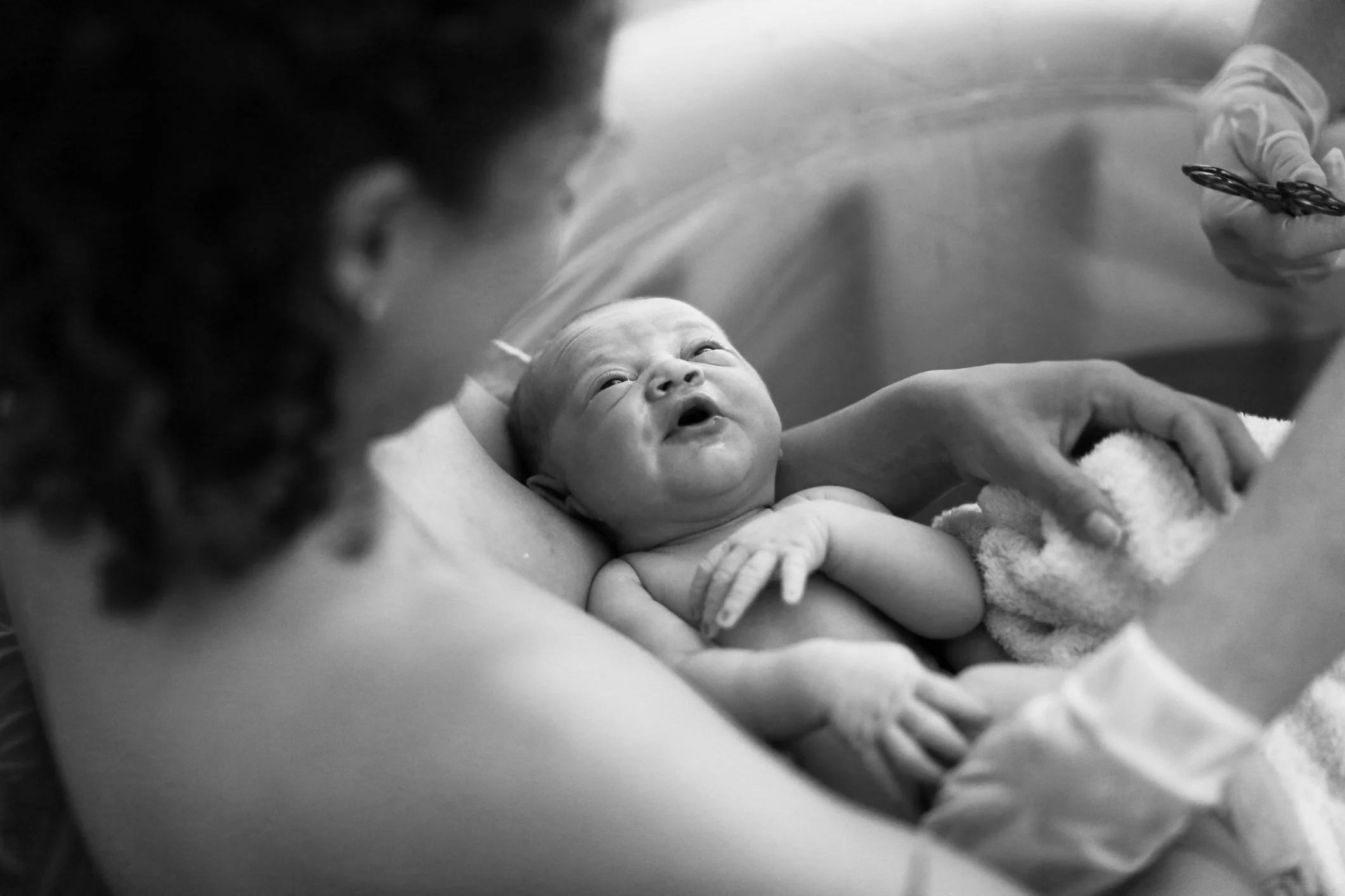 Black and white photo of a newborn baby being held in a birthing pool, supported by an adult with curly hair. Another person is seen holding scissors, preparing to cut the umbilical cord.