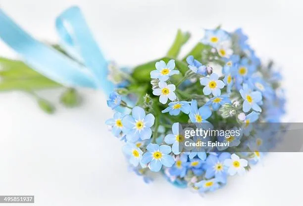 A small bouquet of blue and white forget-me-not flowers tied with a blue ribbon.