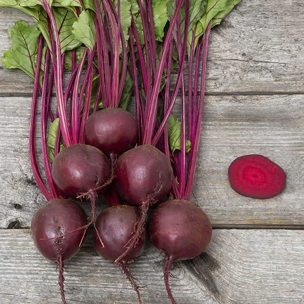 Fresh picked beets from Fair Share Farm Maine