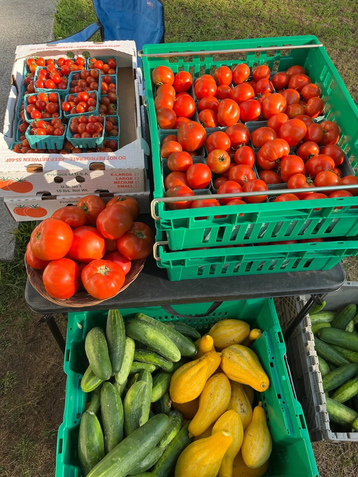 Fair Share Farm CSA Crops