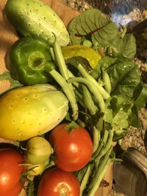 Vegetables from Fair Share Farm Maine