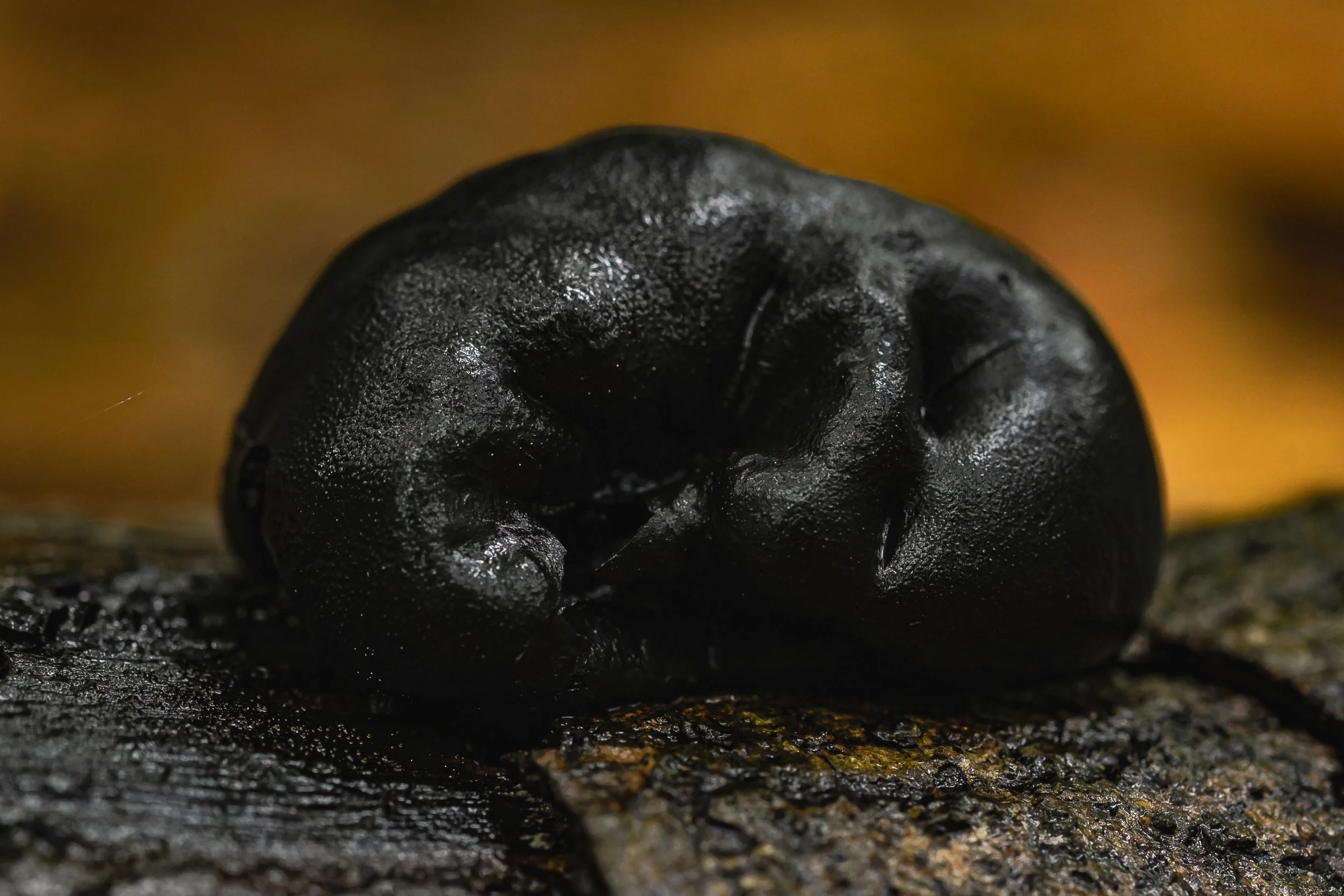 Close-up of a black caterpillar on a textured surface with a blurred orange background.